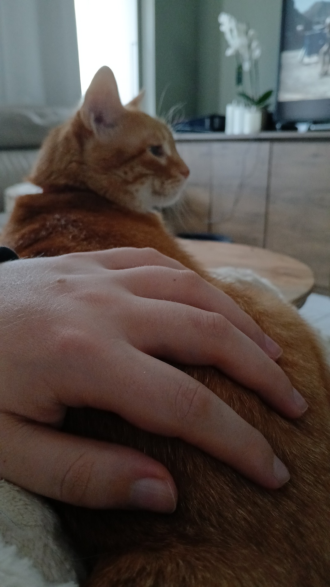 image-11