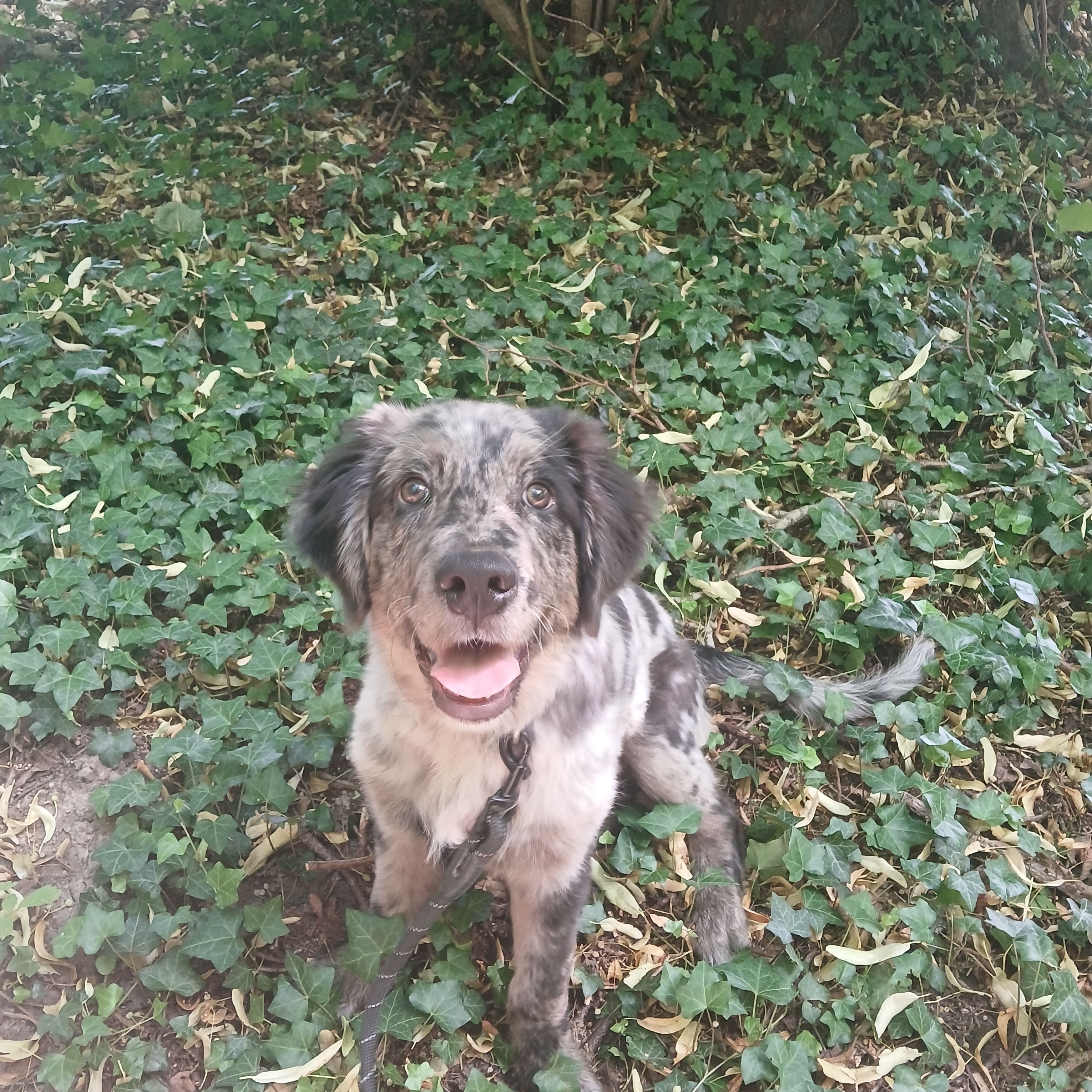 Benny