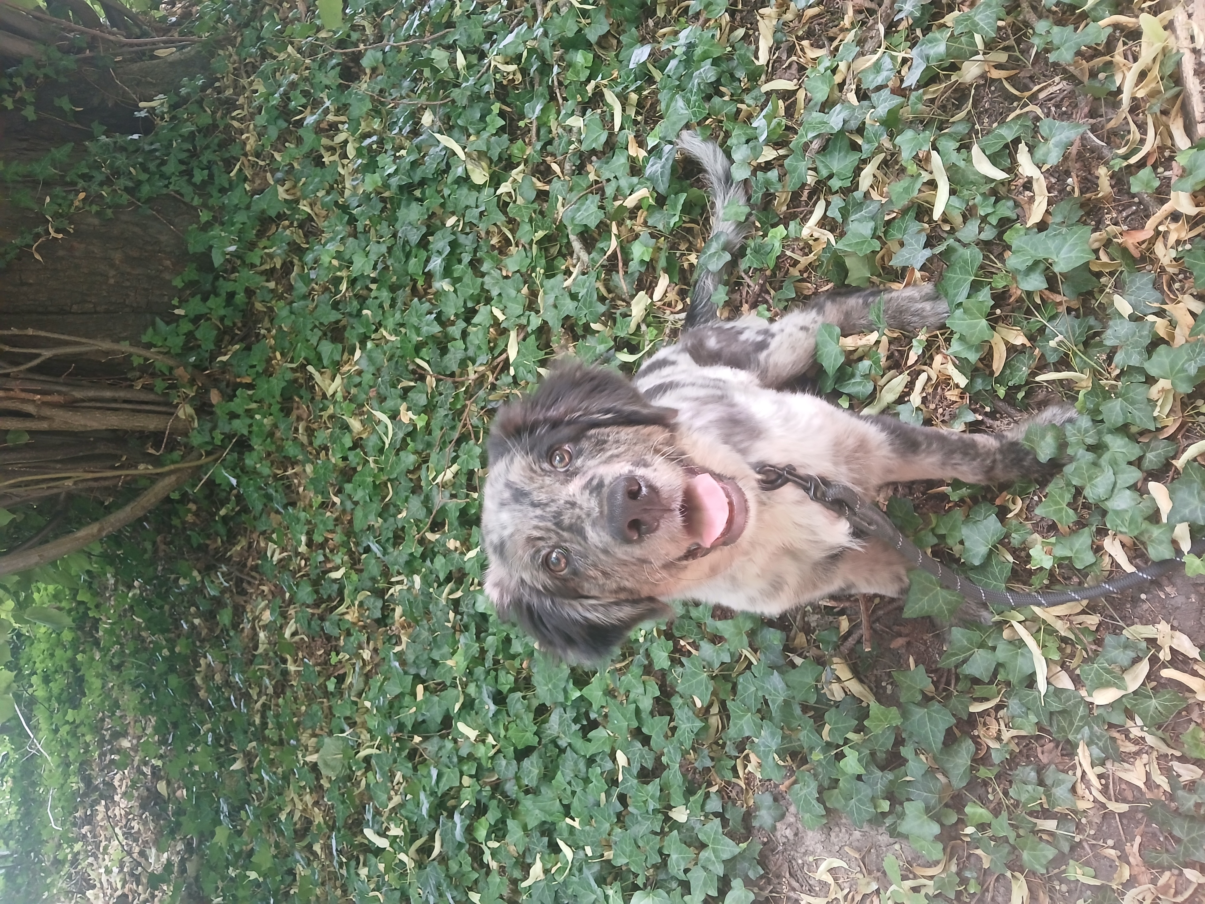 image-5