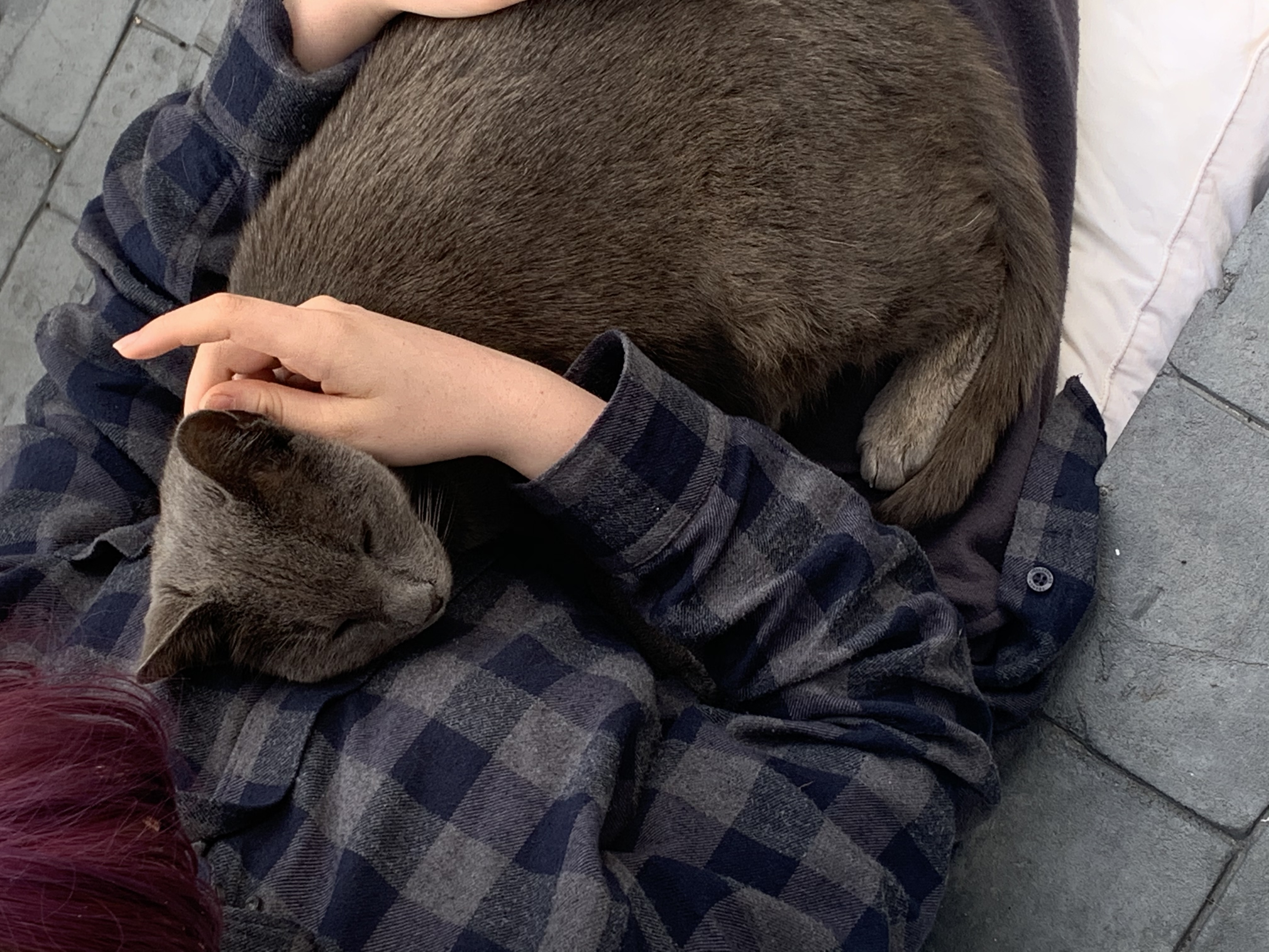 image-9