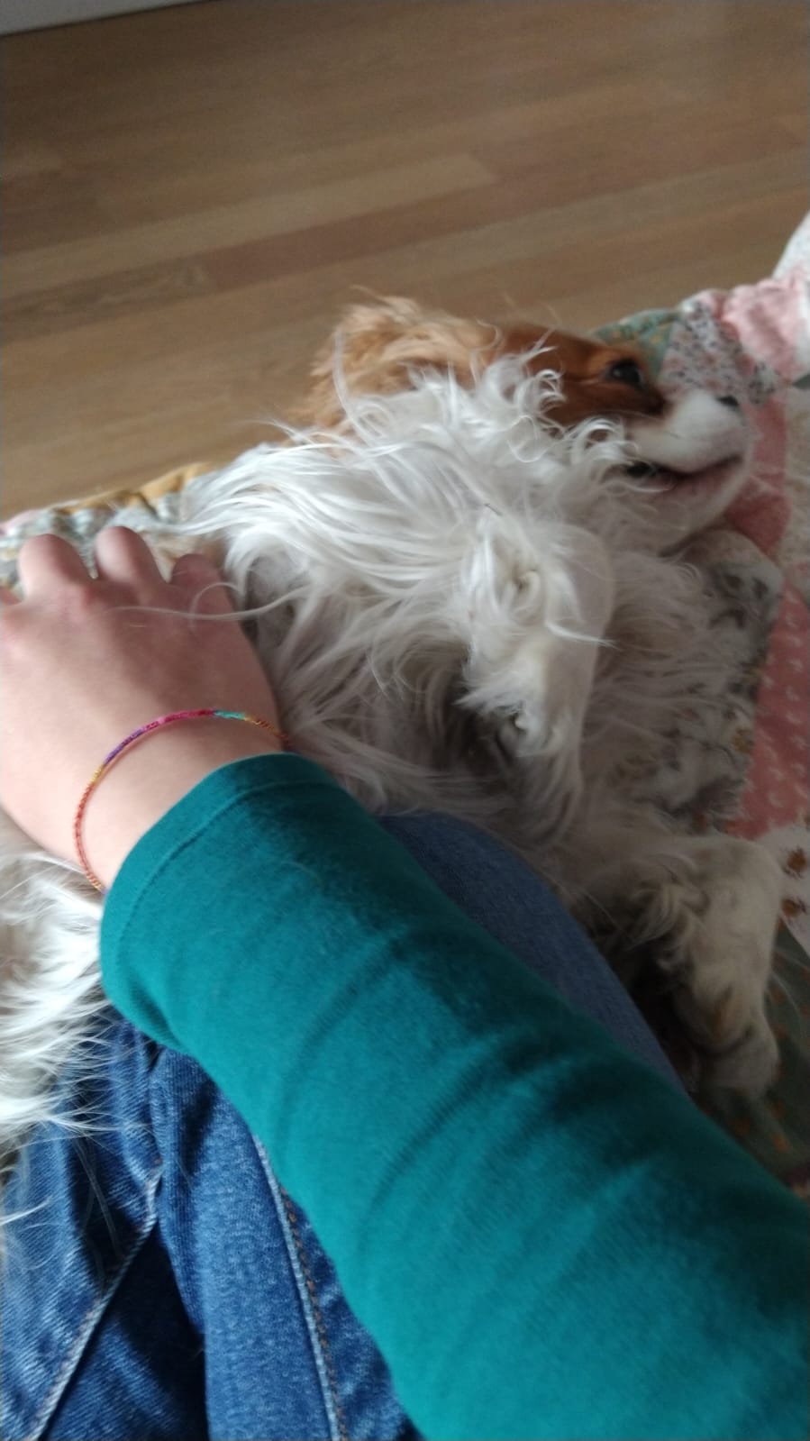image-9