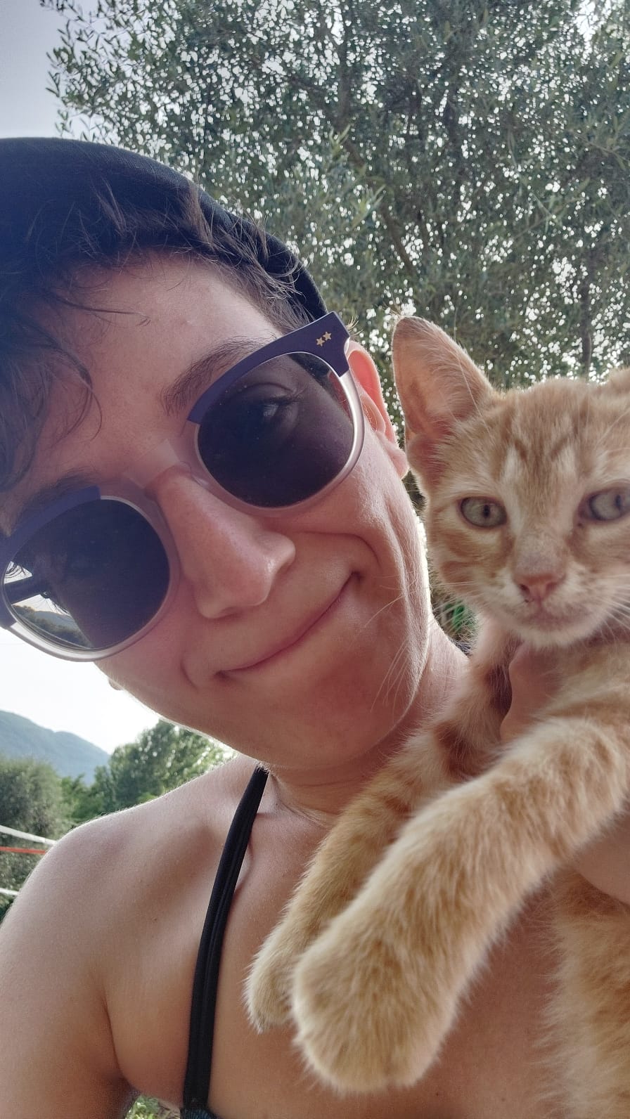 image-0