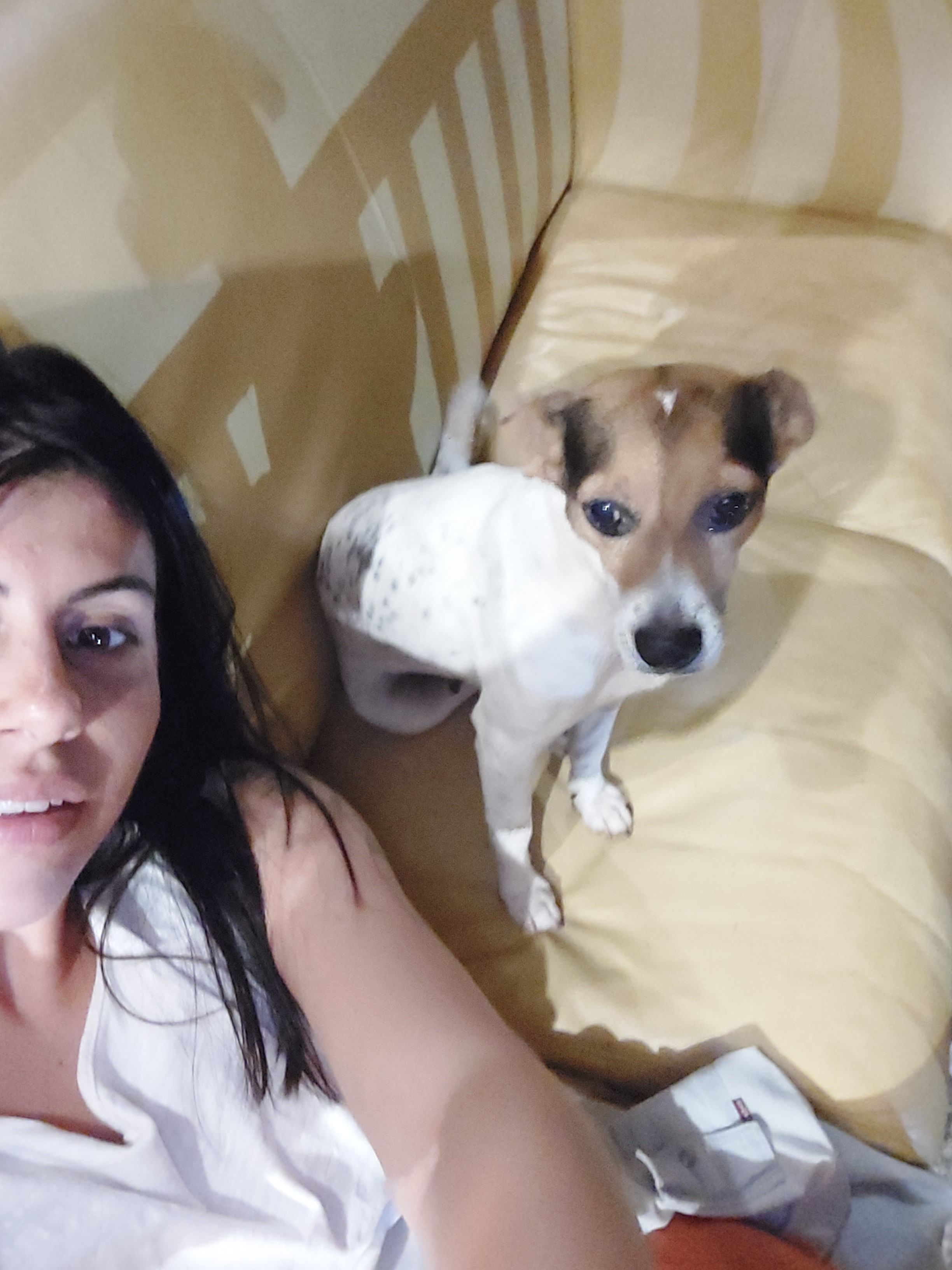 image-6