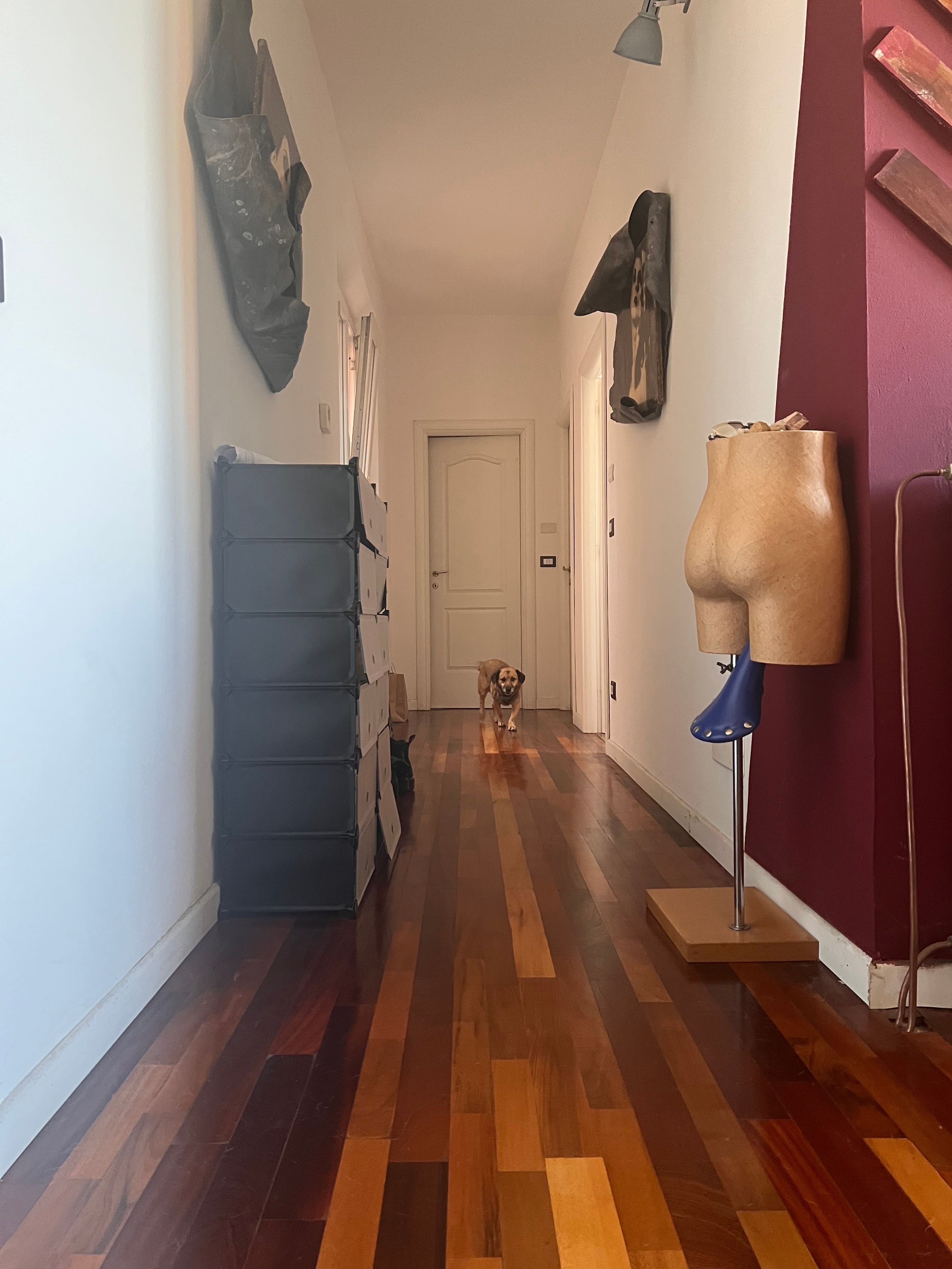 image-17