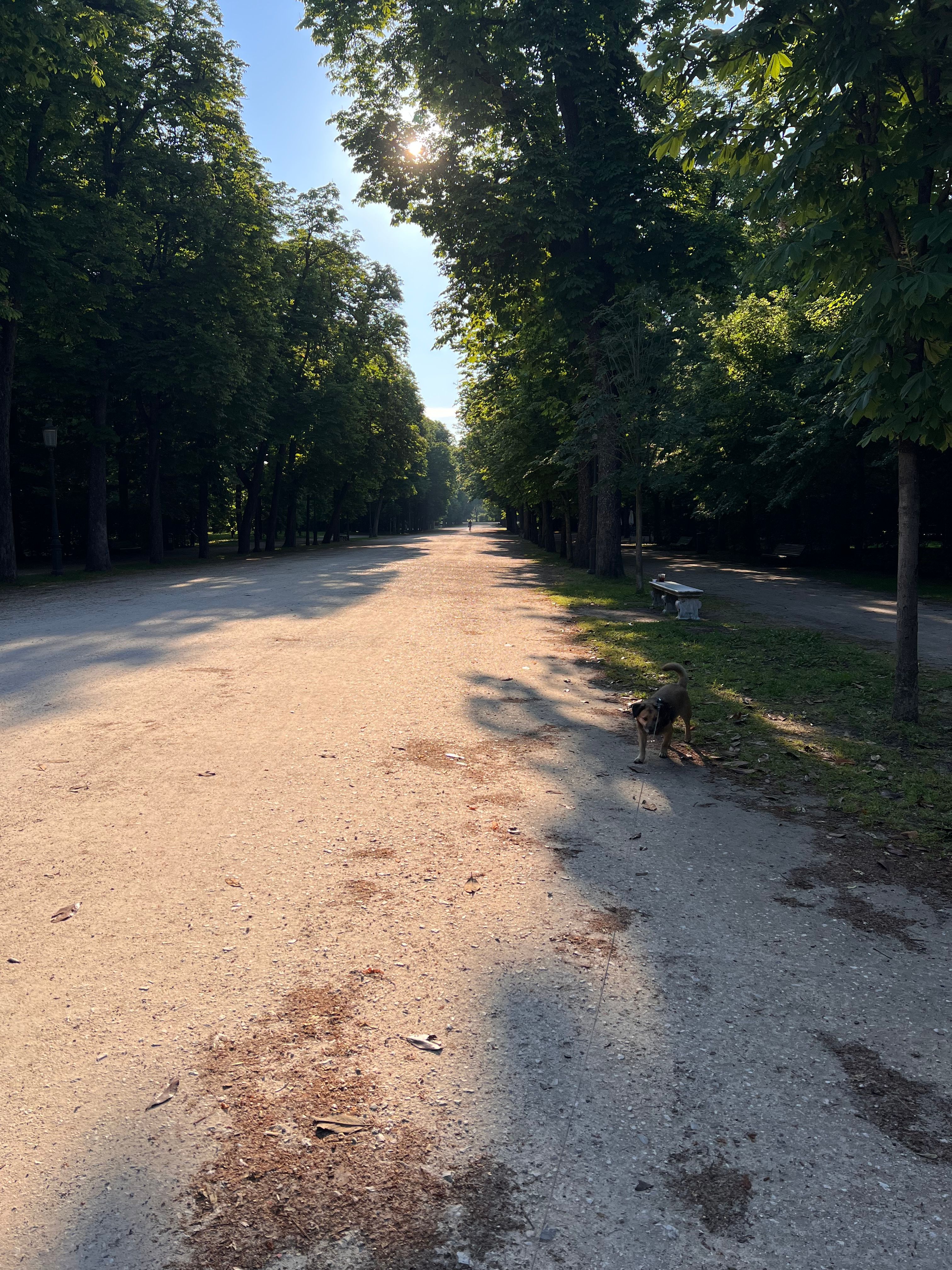 image-18