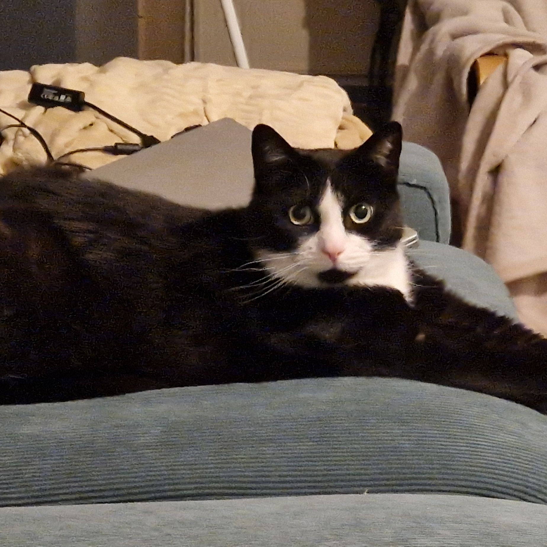 Frits
