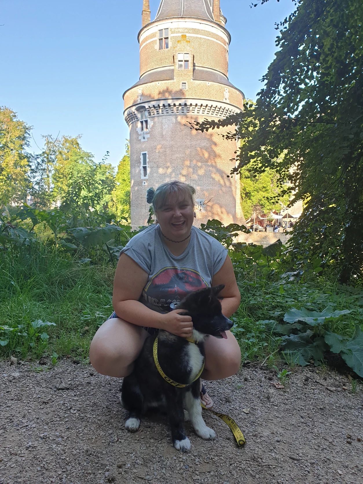image-11