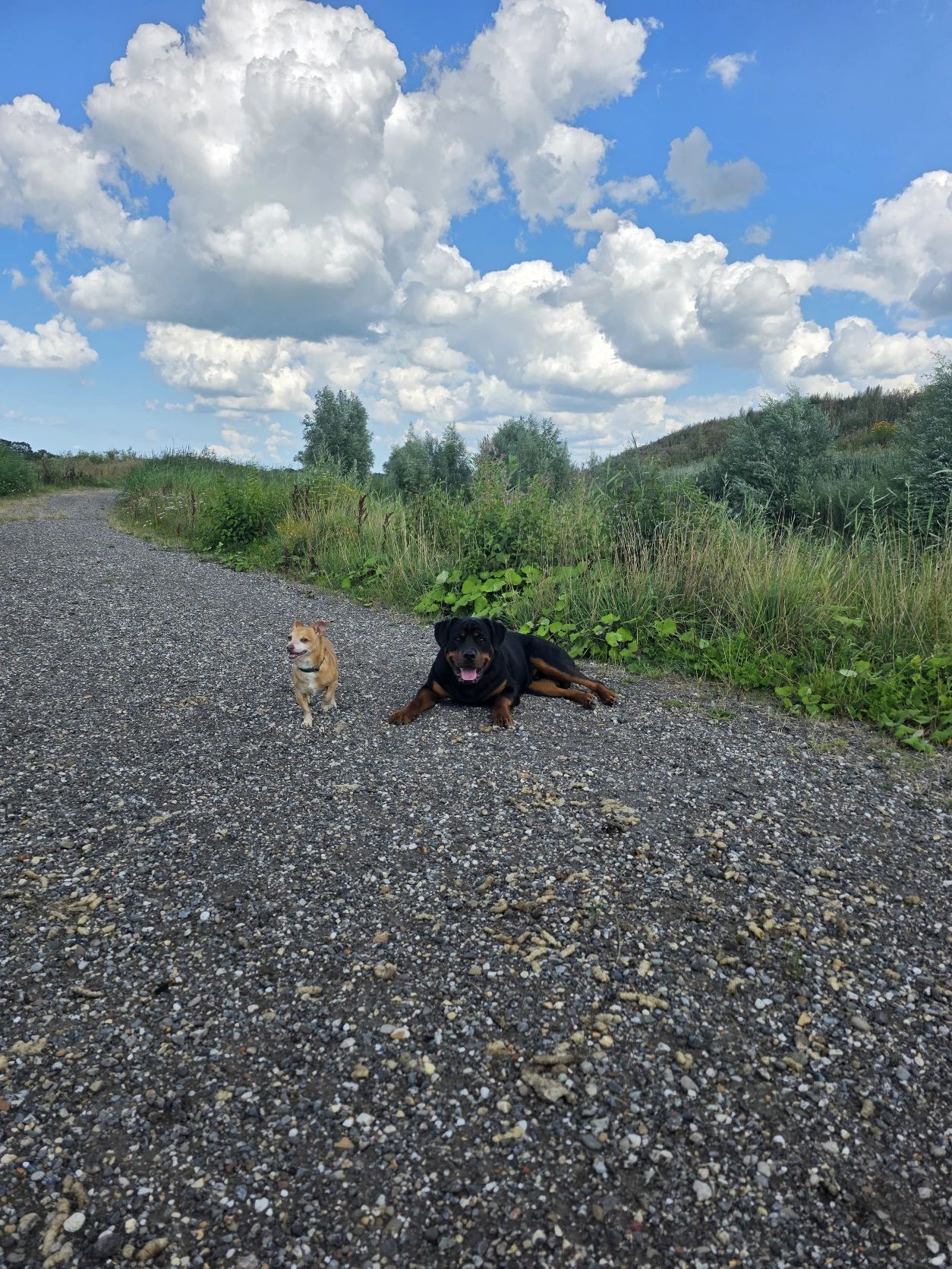 image-17