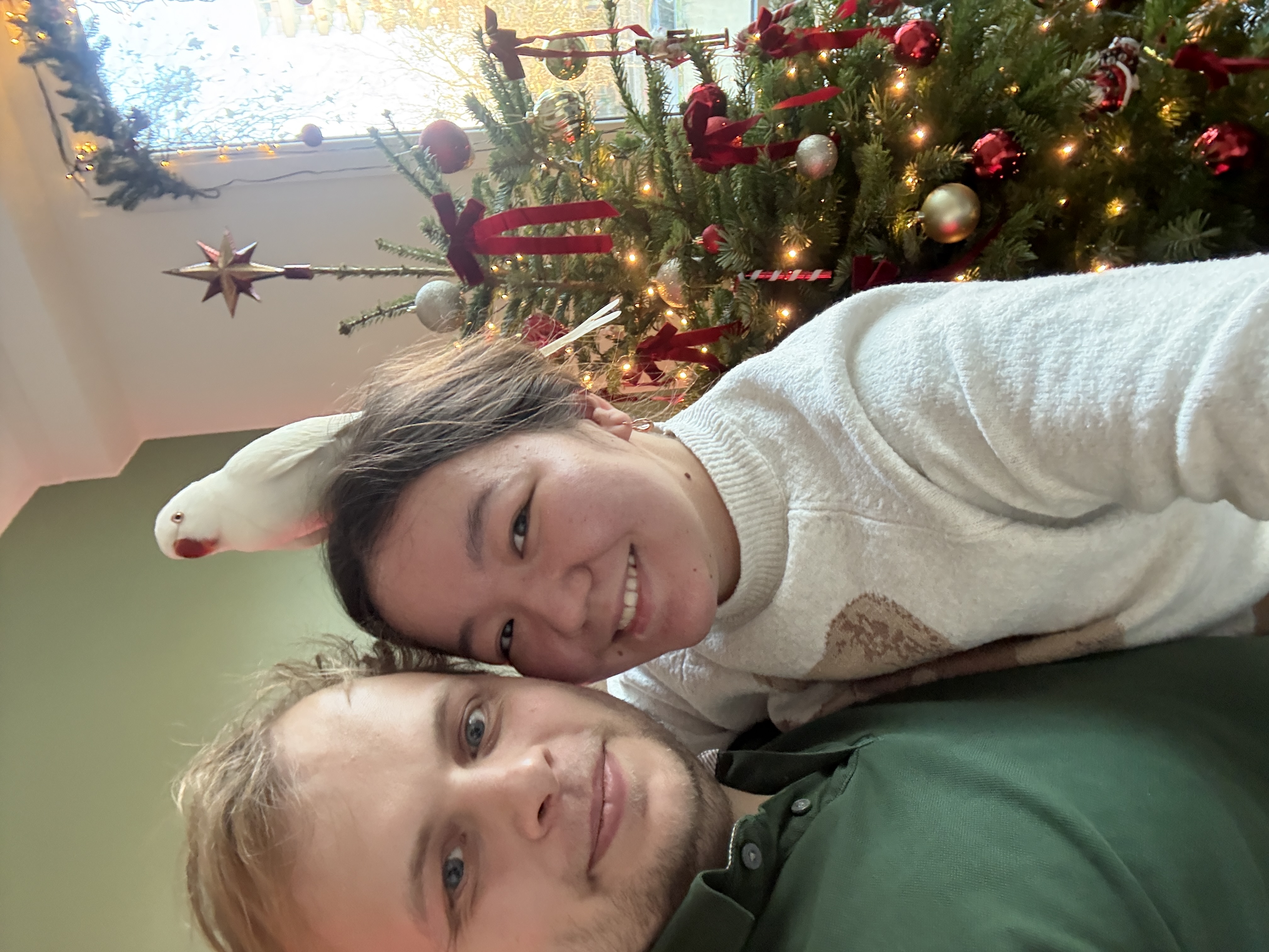 image-5