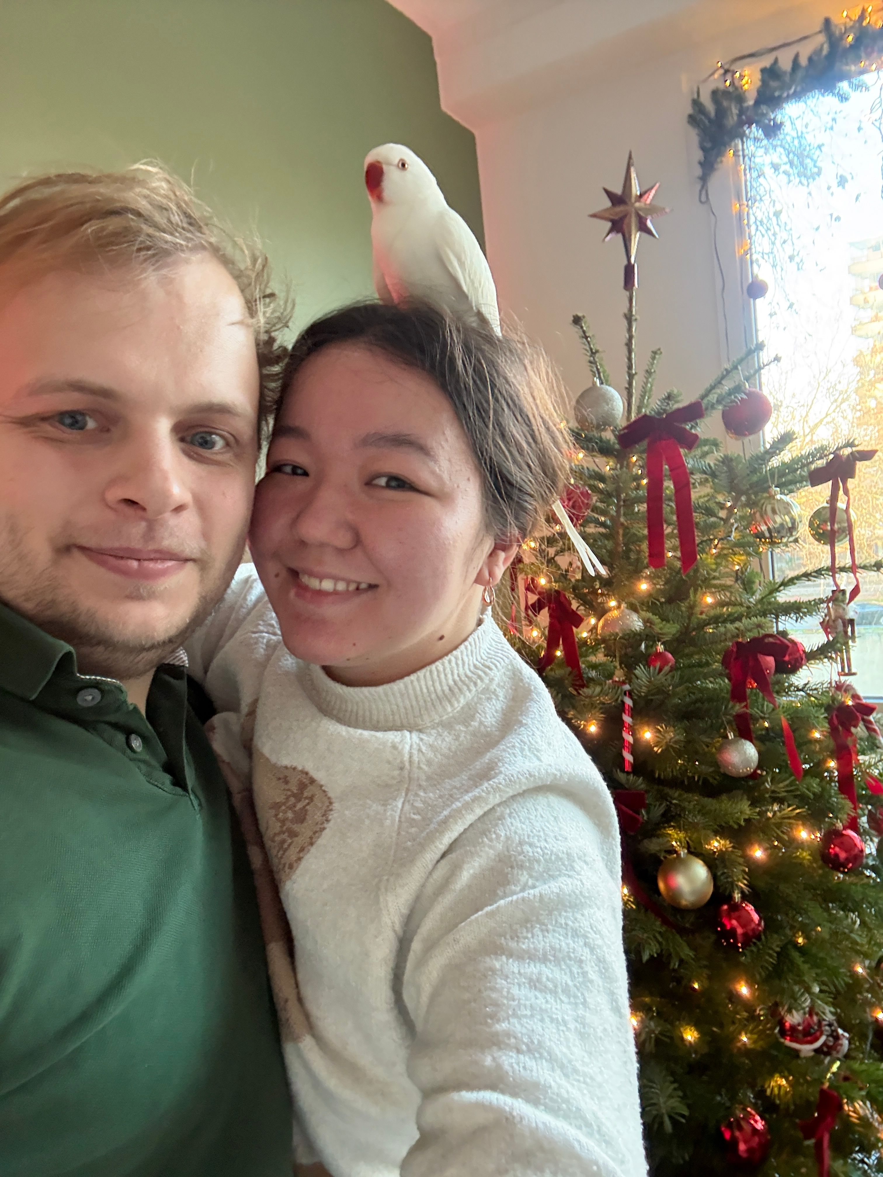image-5