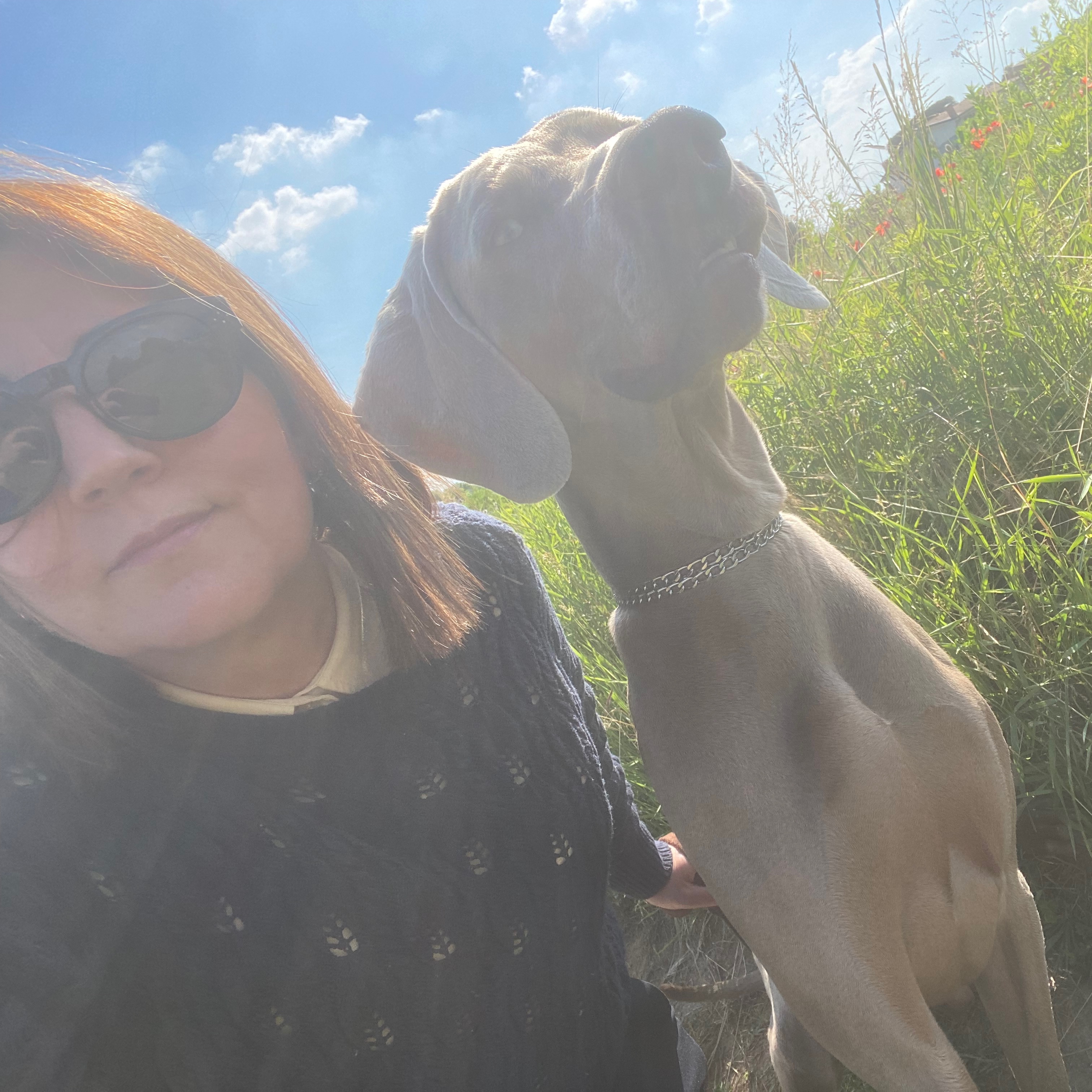 Rossella