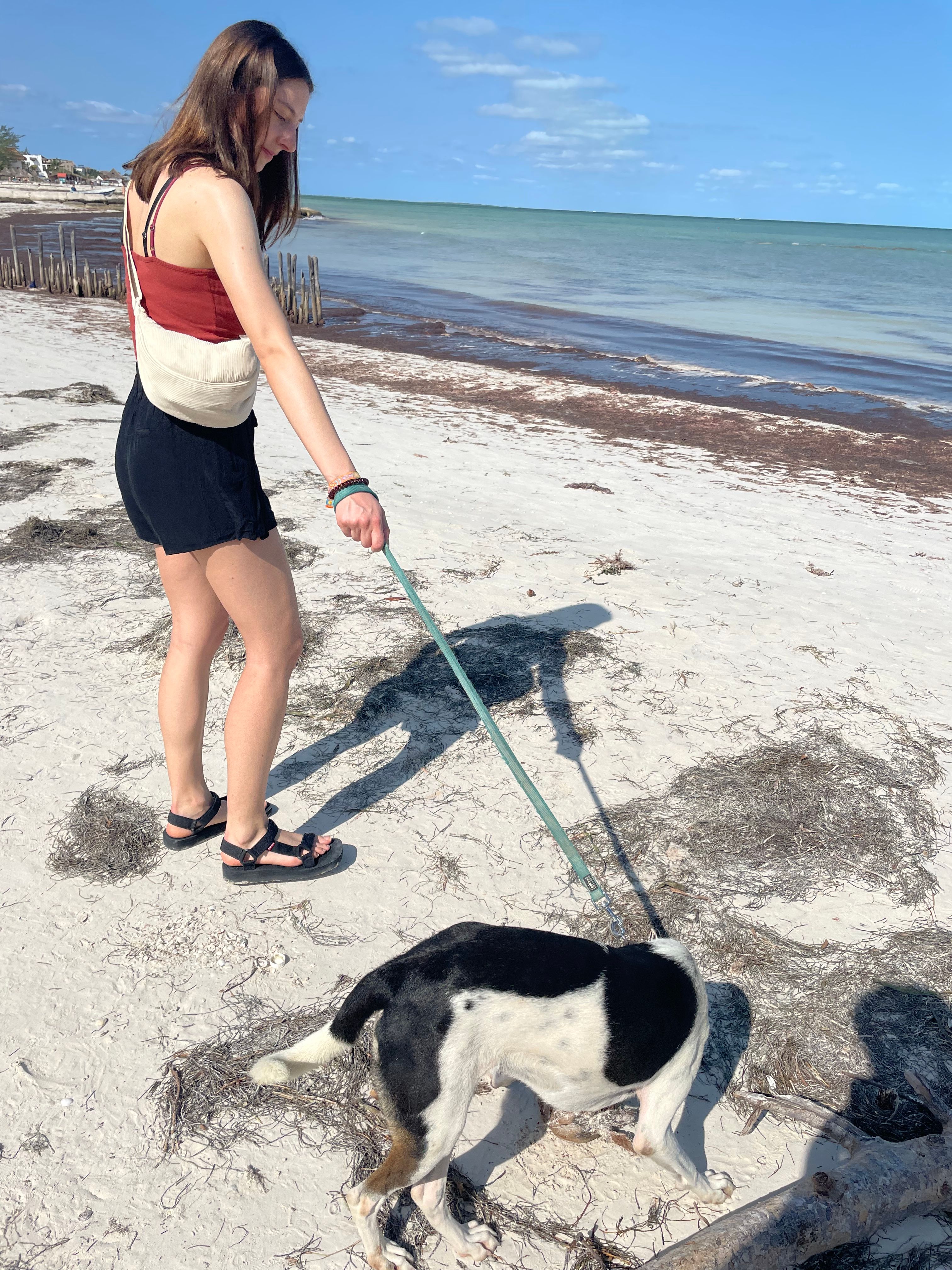 image-8