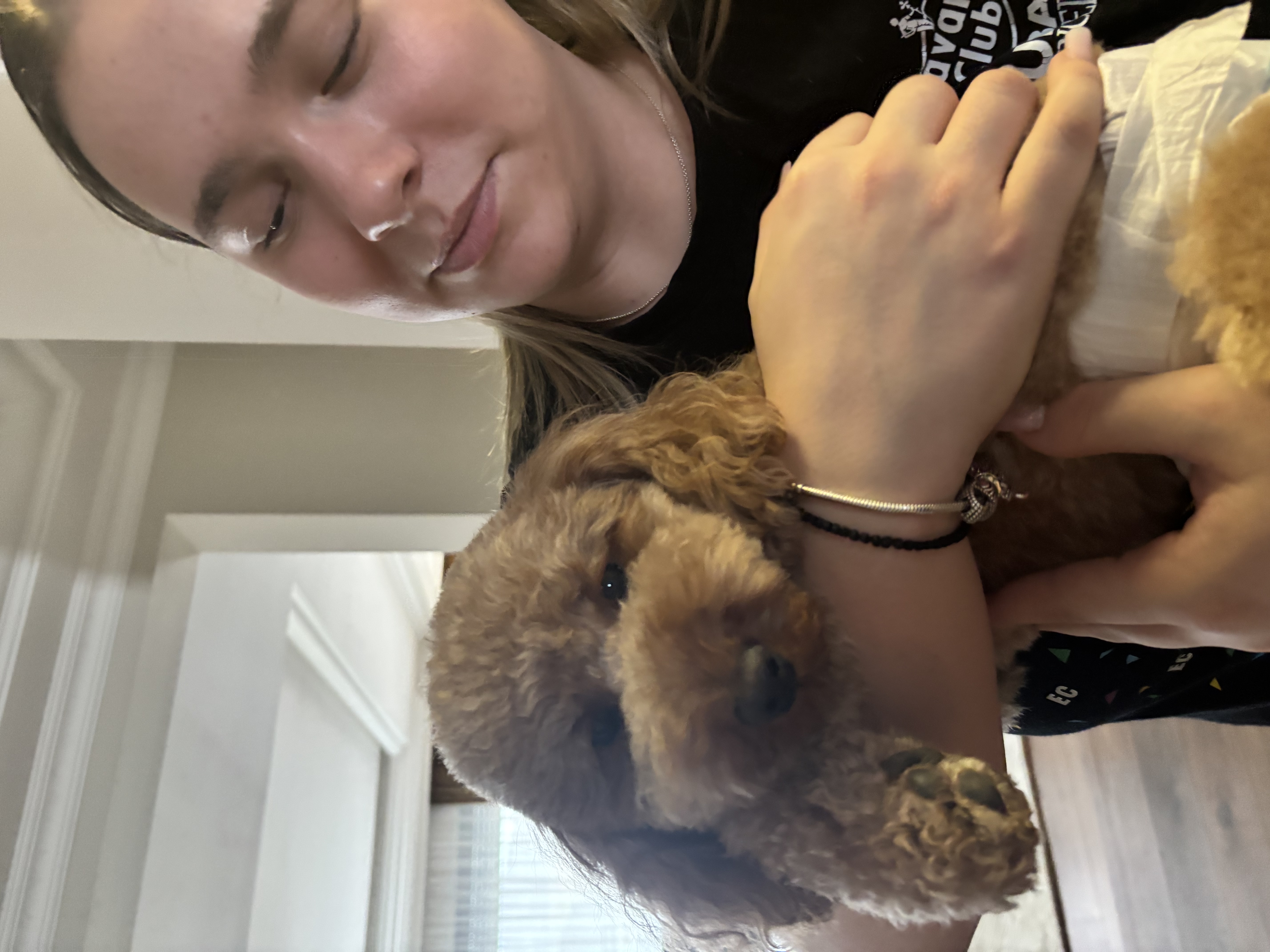 image-6
