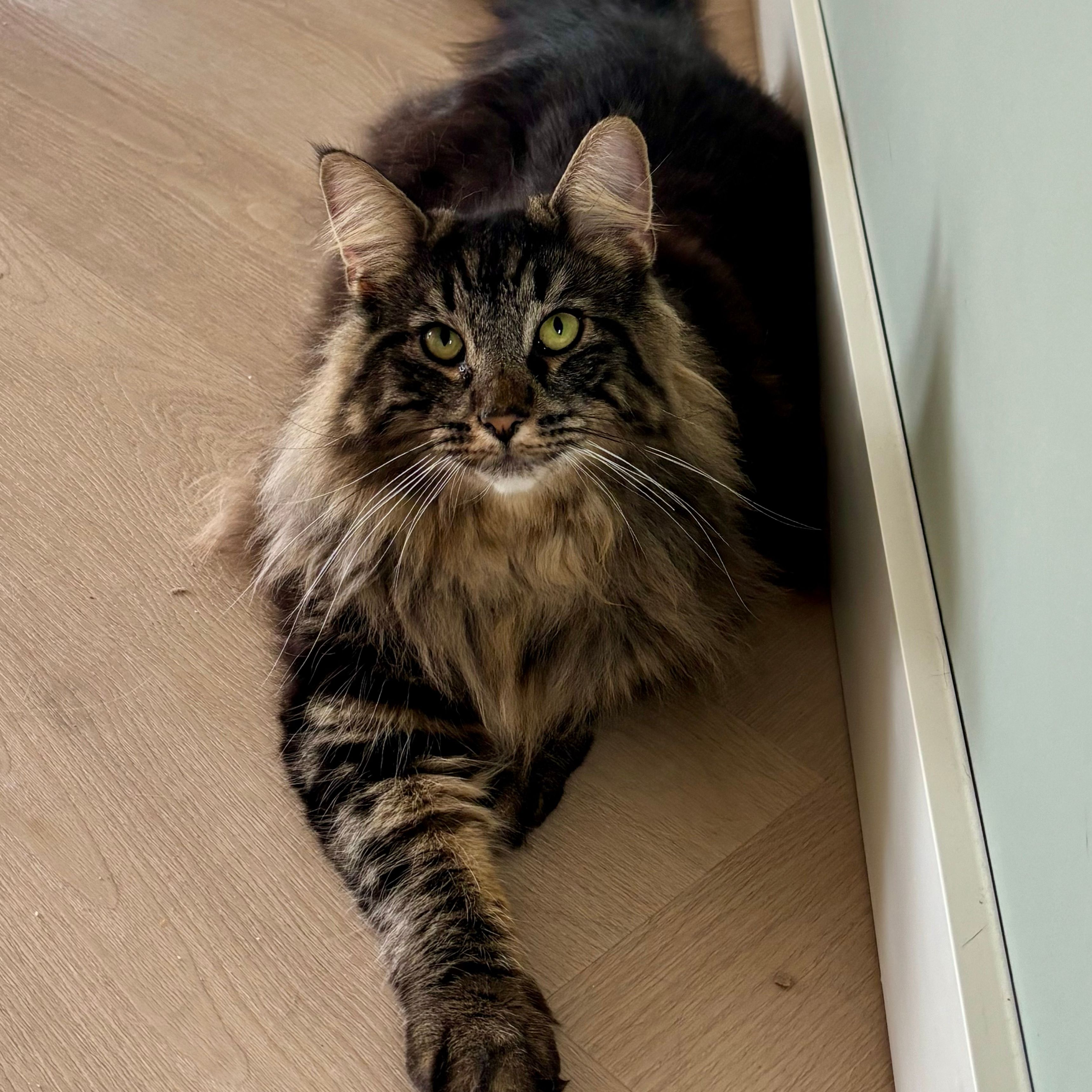 Pablo