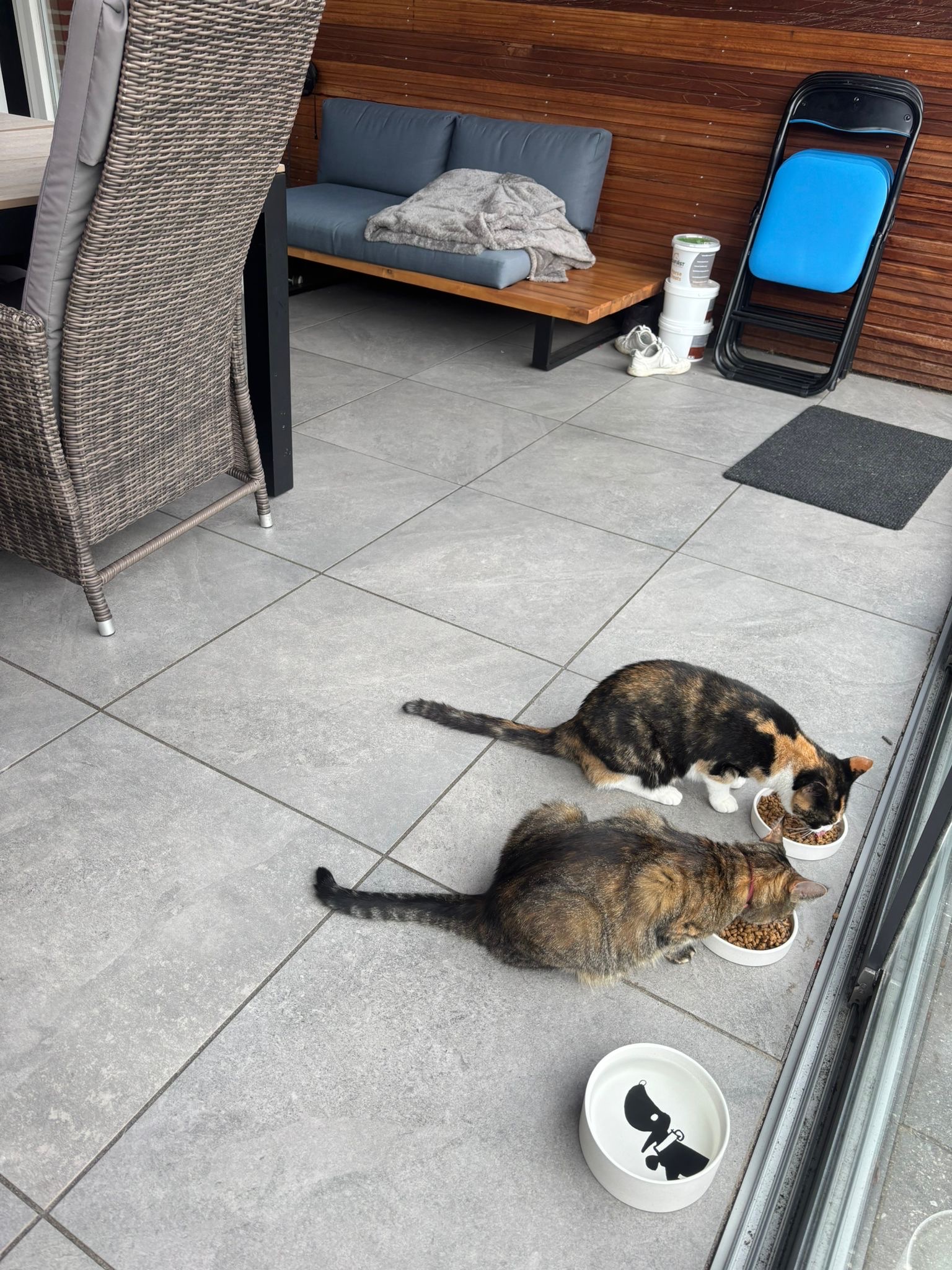 image-19