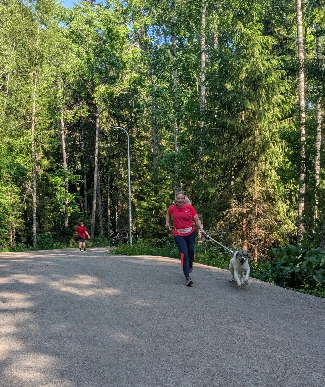 image-13