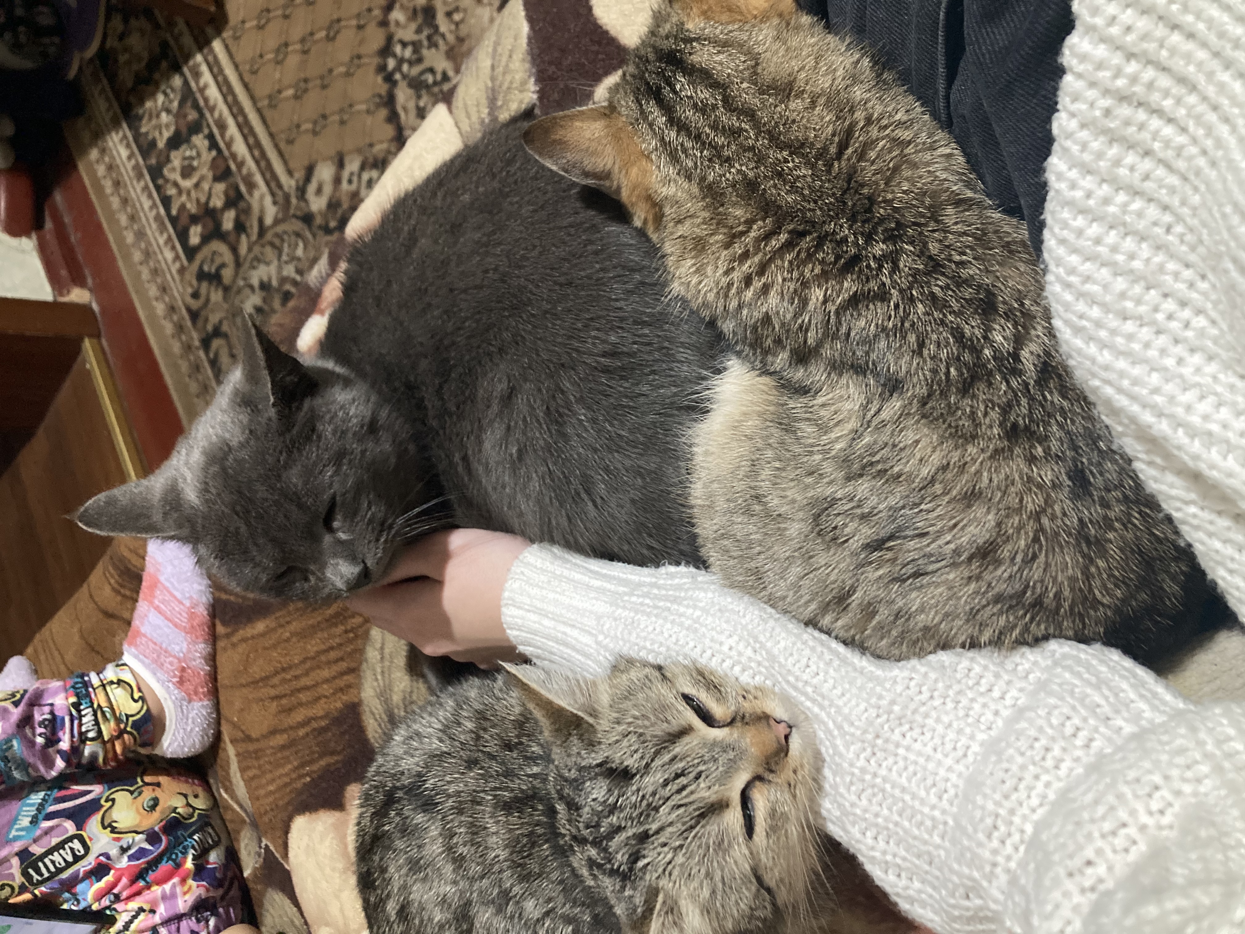 image-8