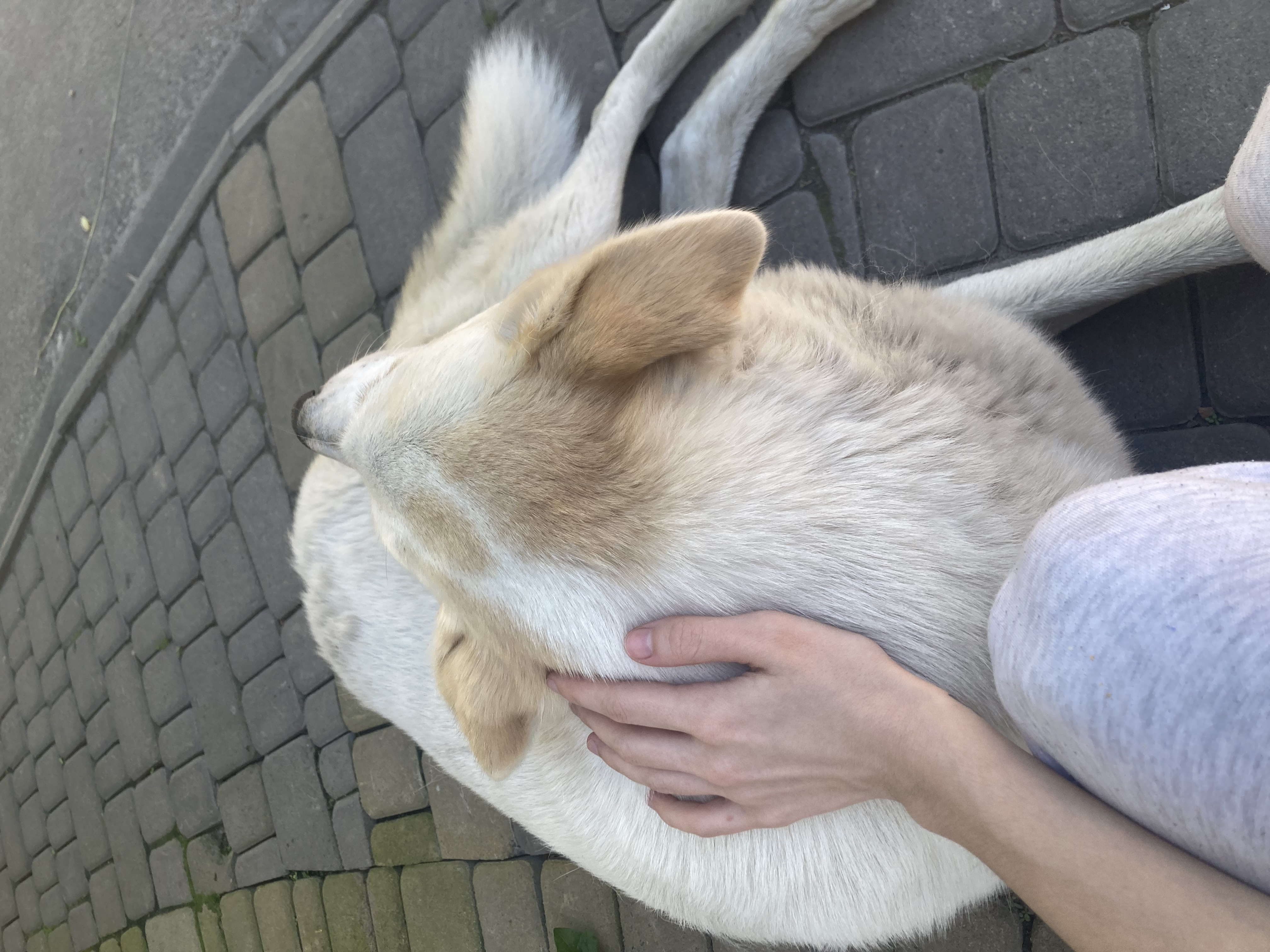 image-5