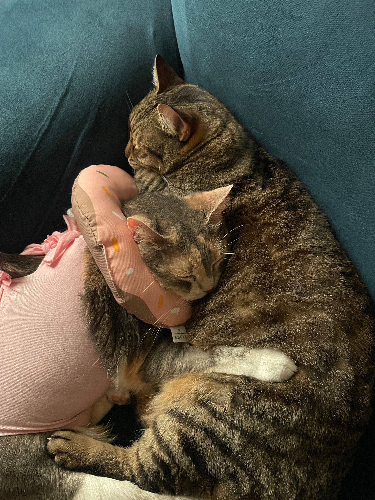 image-3