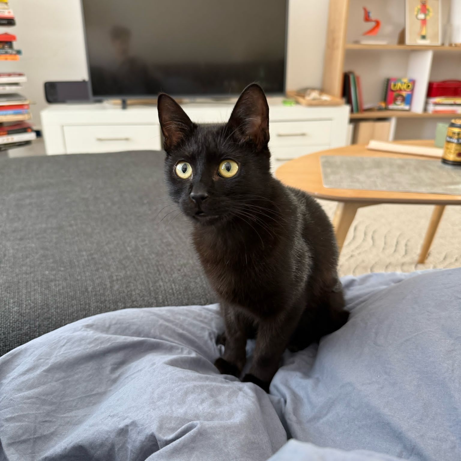 Bumi