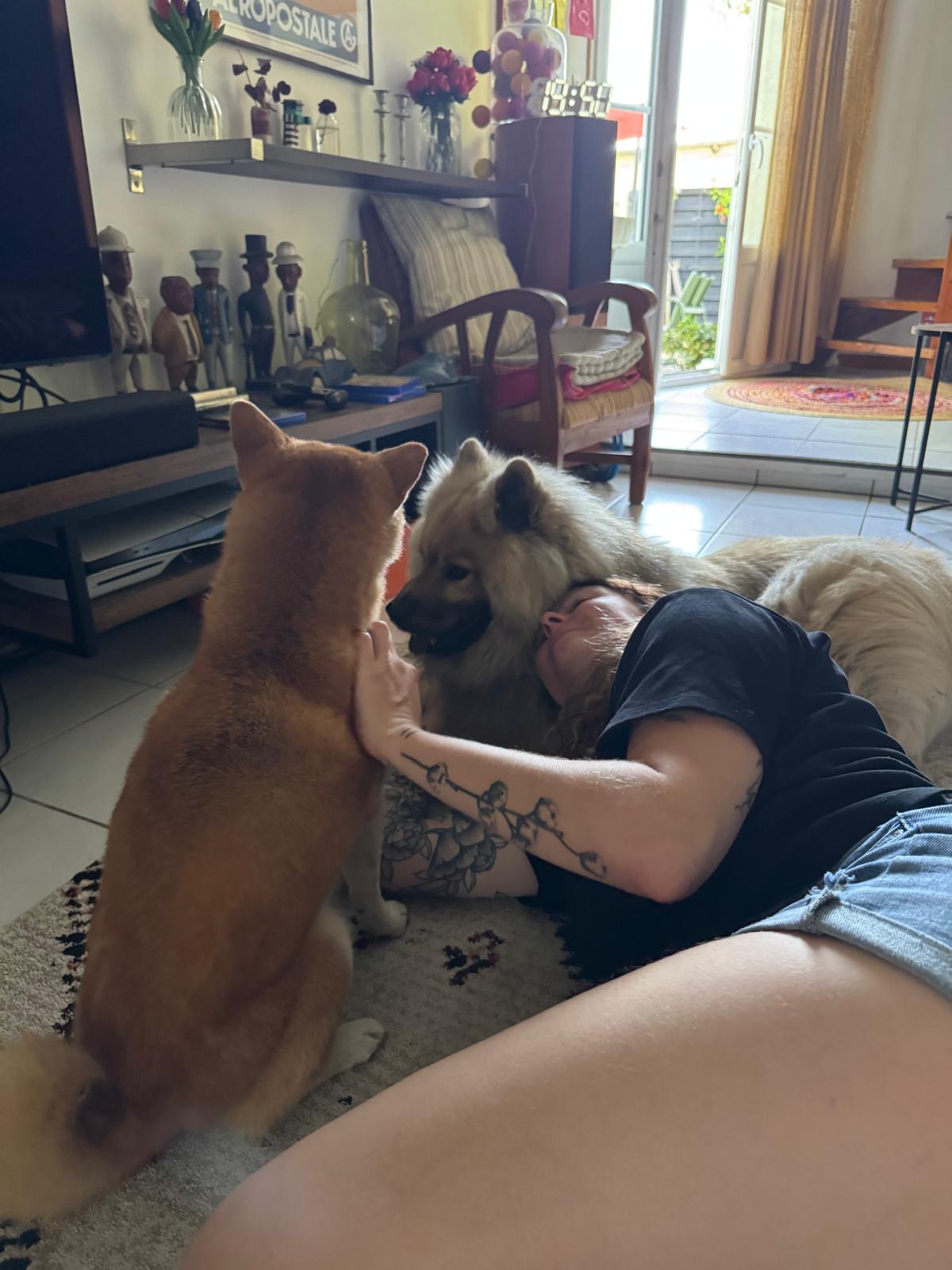 image-11