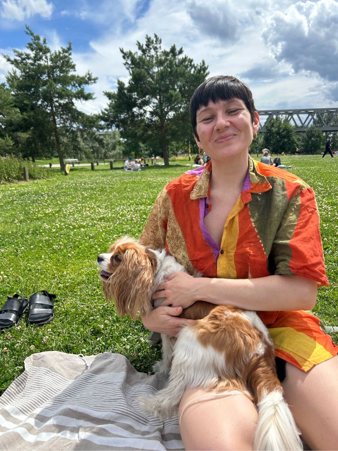 image-6