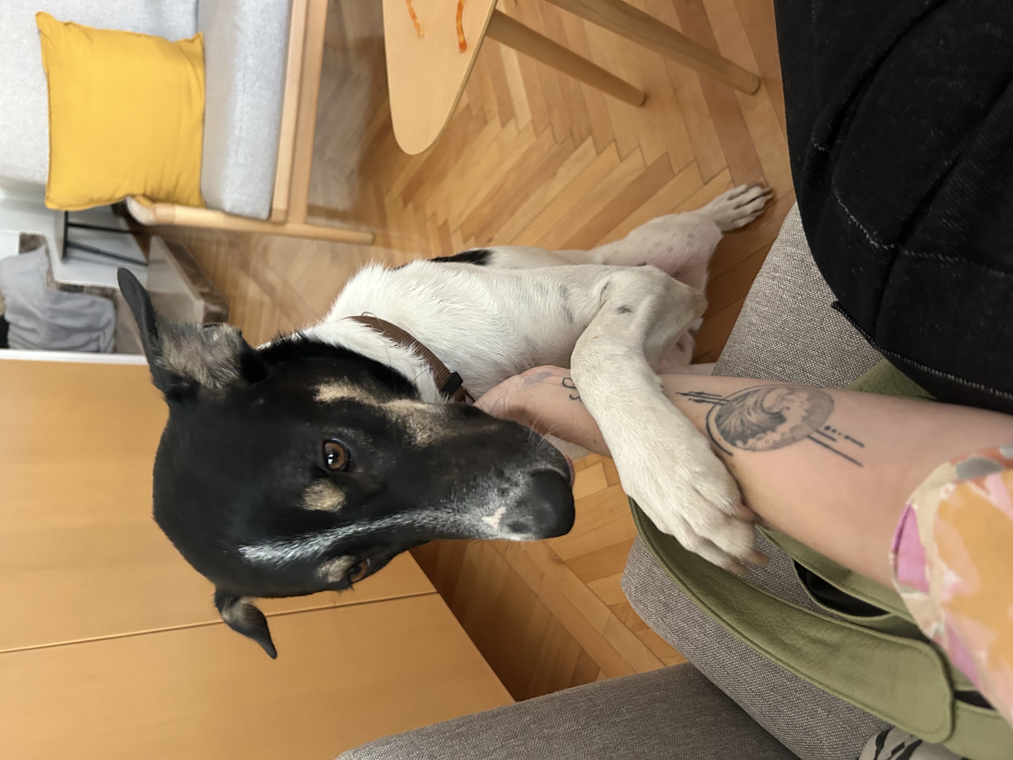 image-10