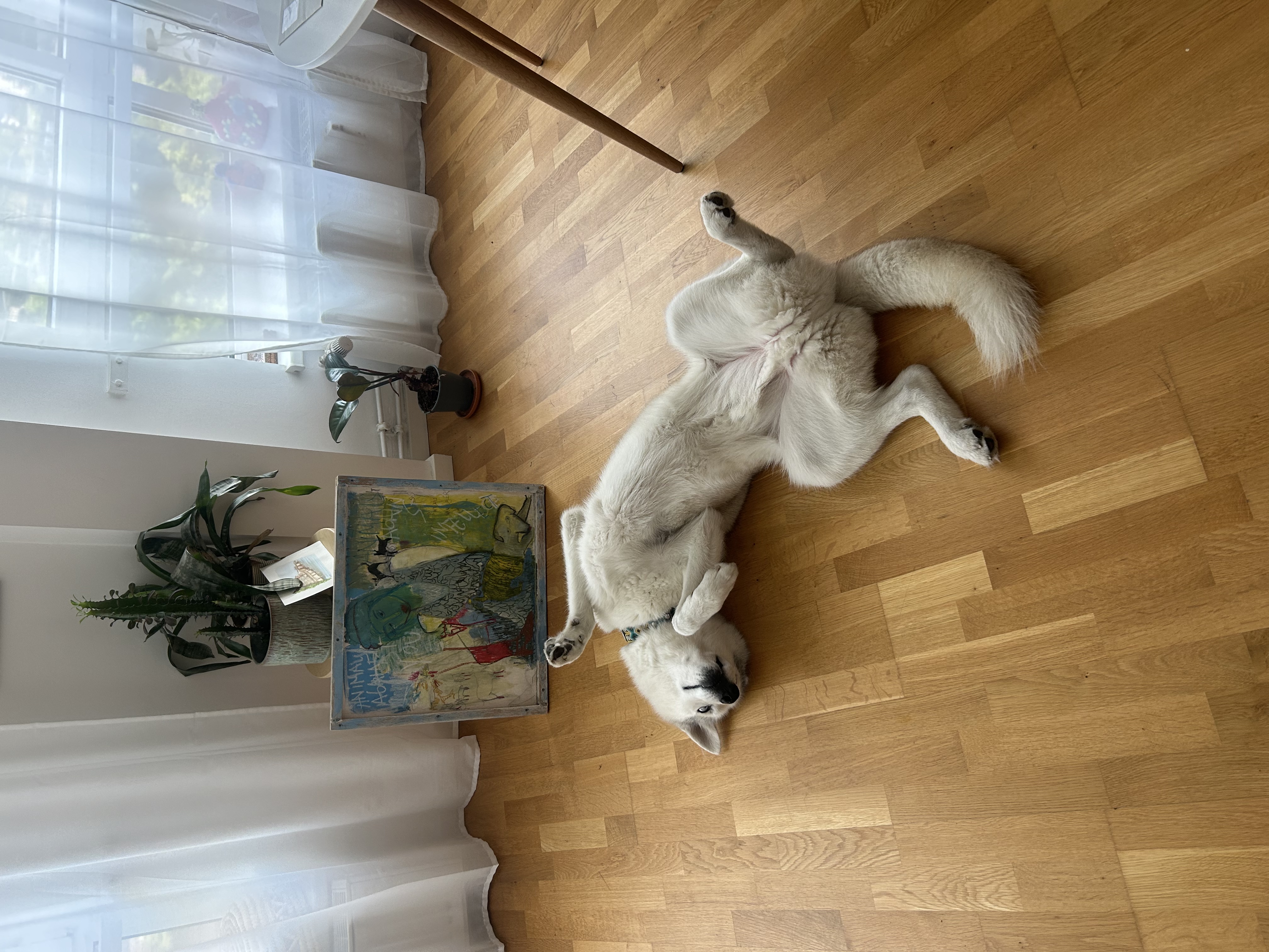 image-2