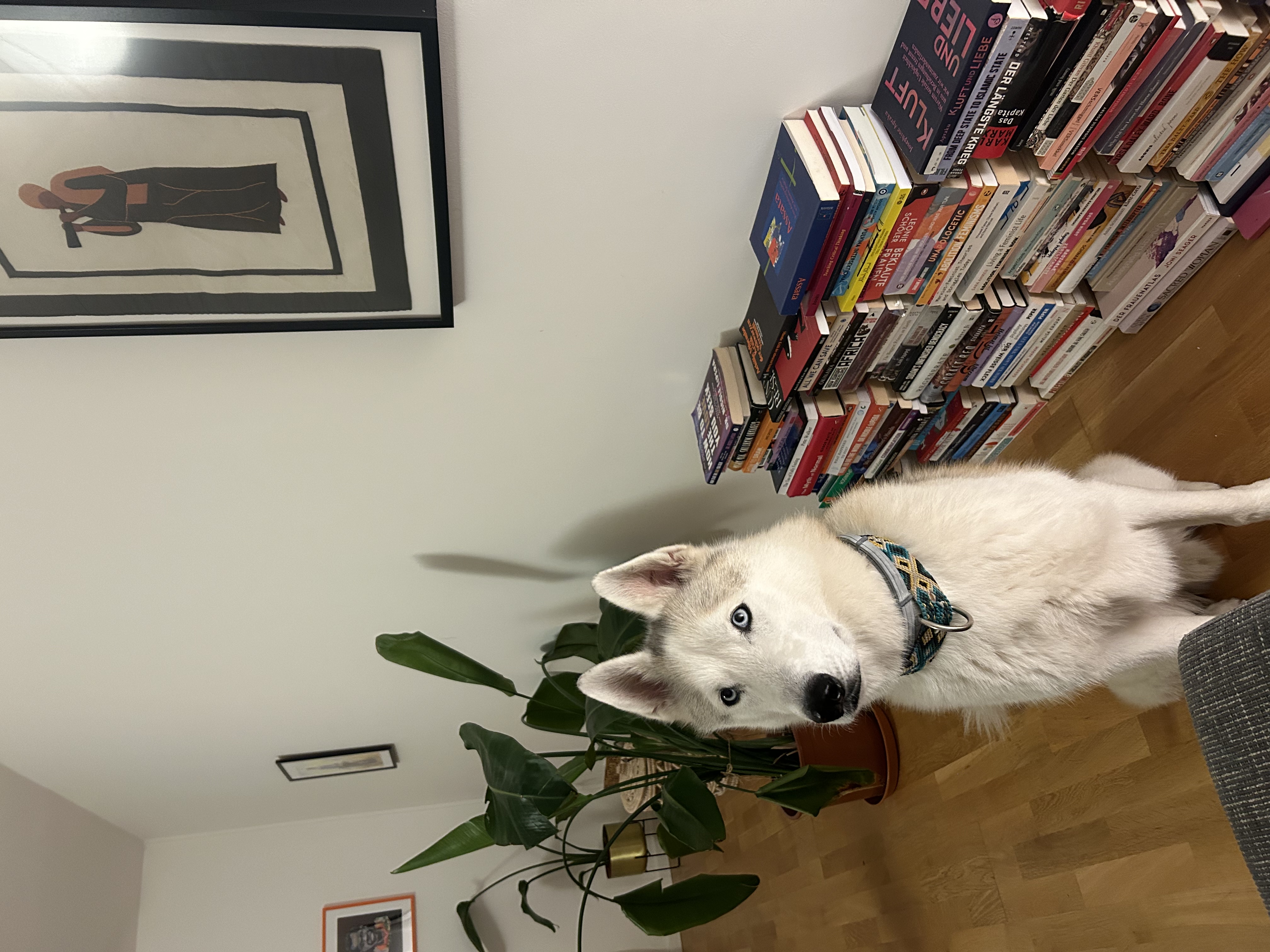 image-15