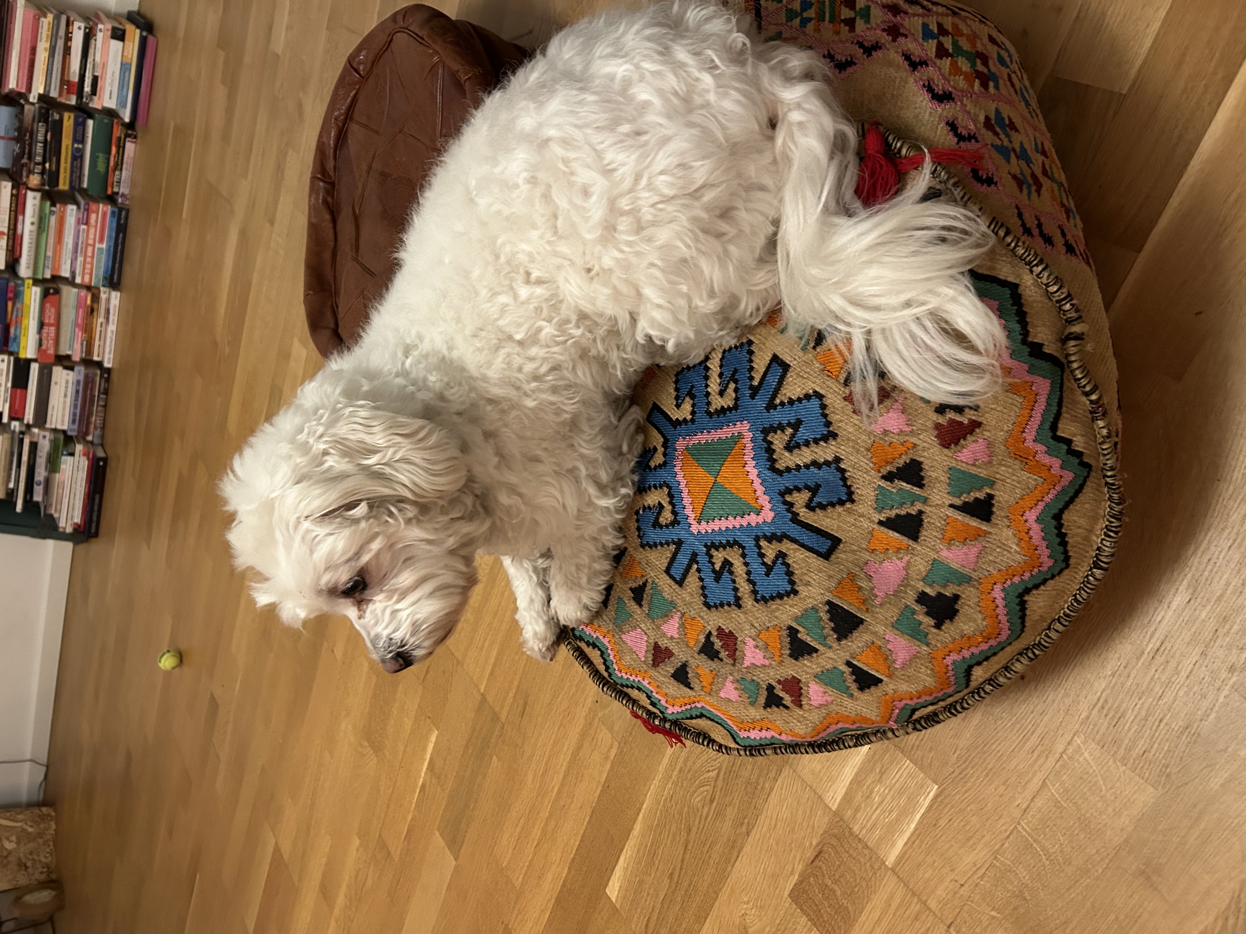 image-13