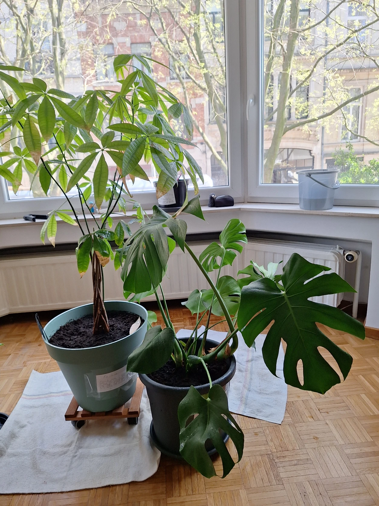 image-11