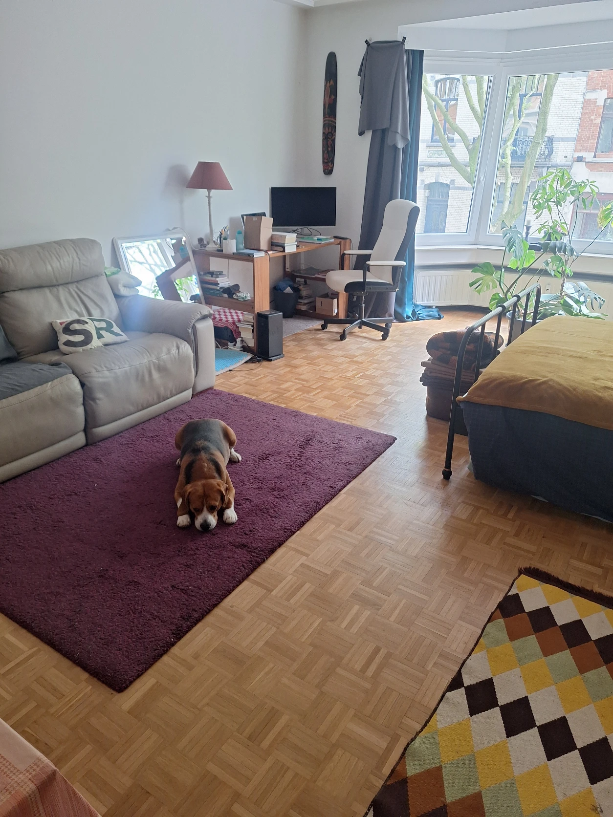image-8