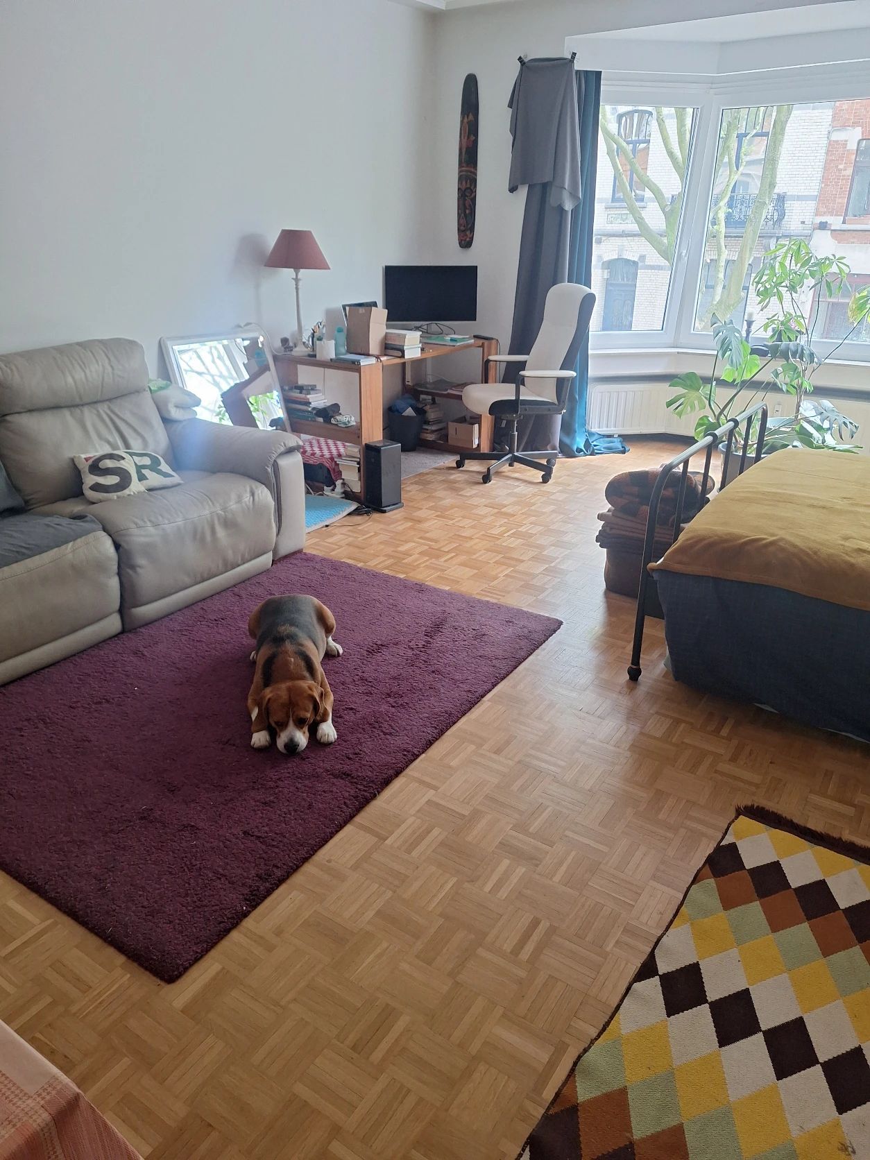 image-8