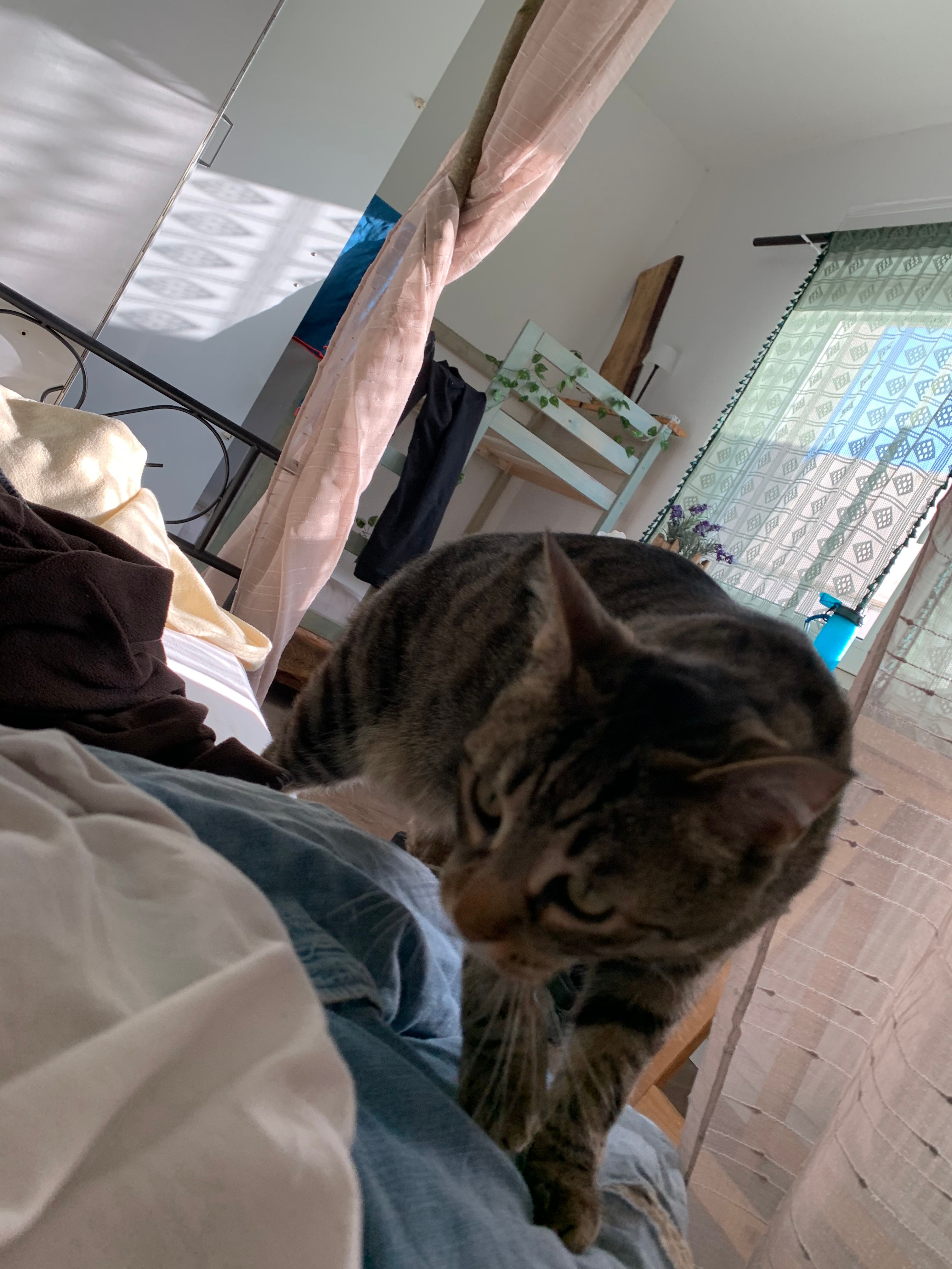 image-12