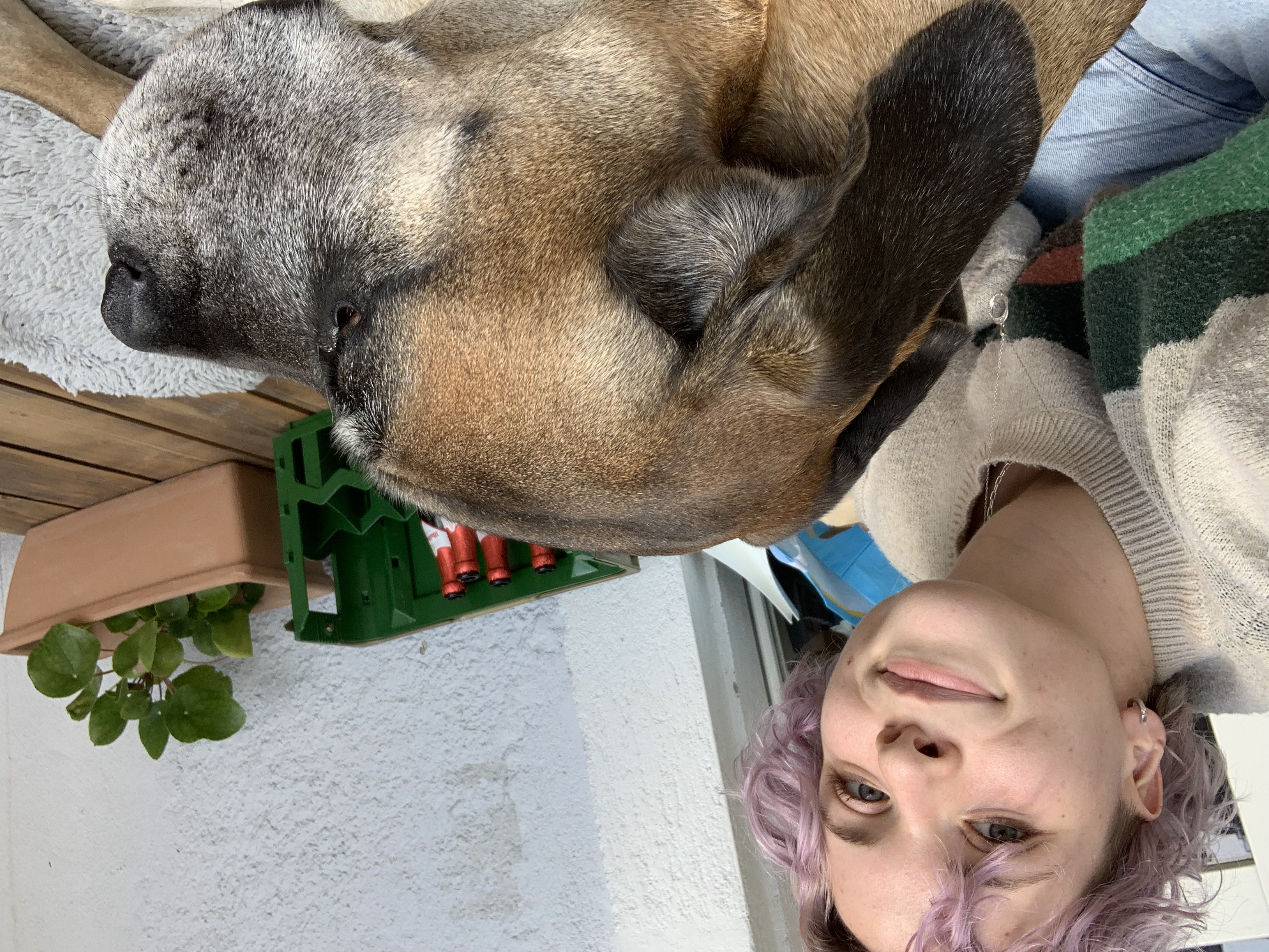 image-6
