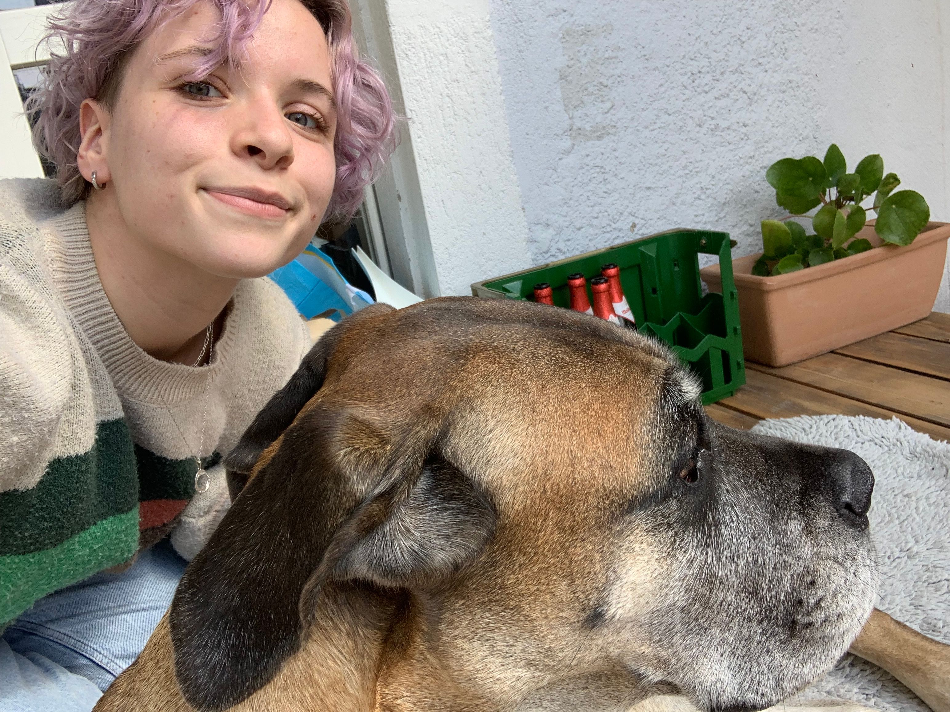 image-6