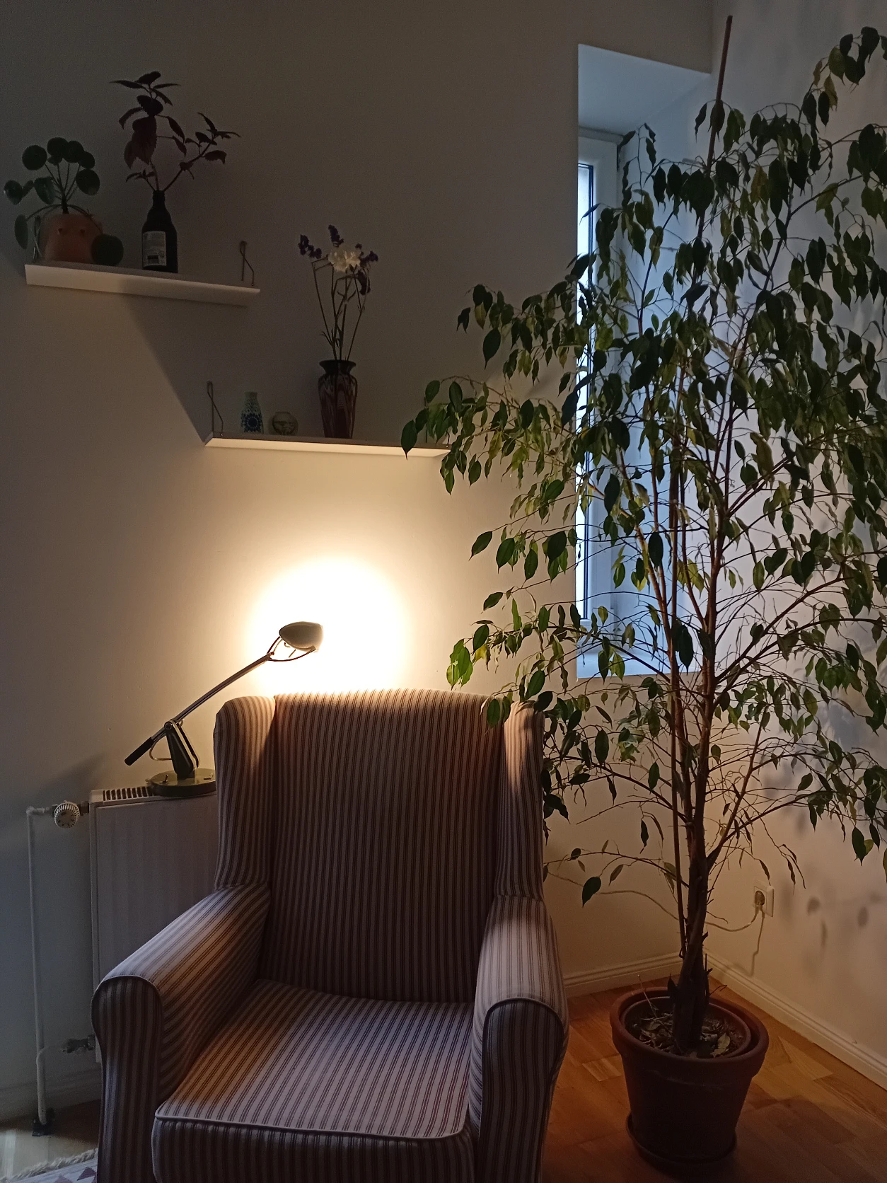 image-12