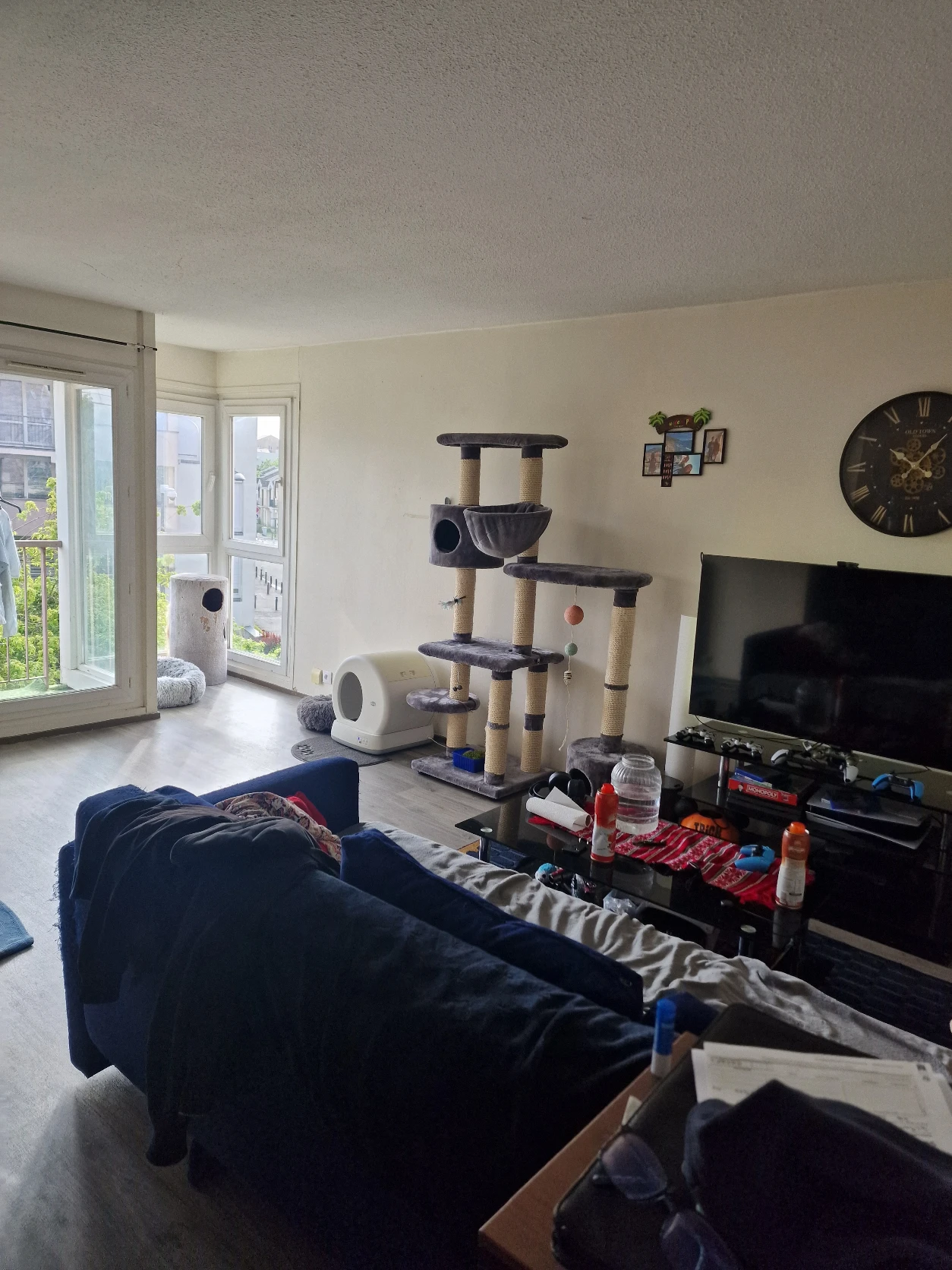 image-11