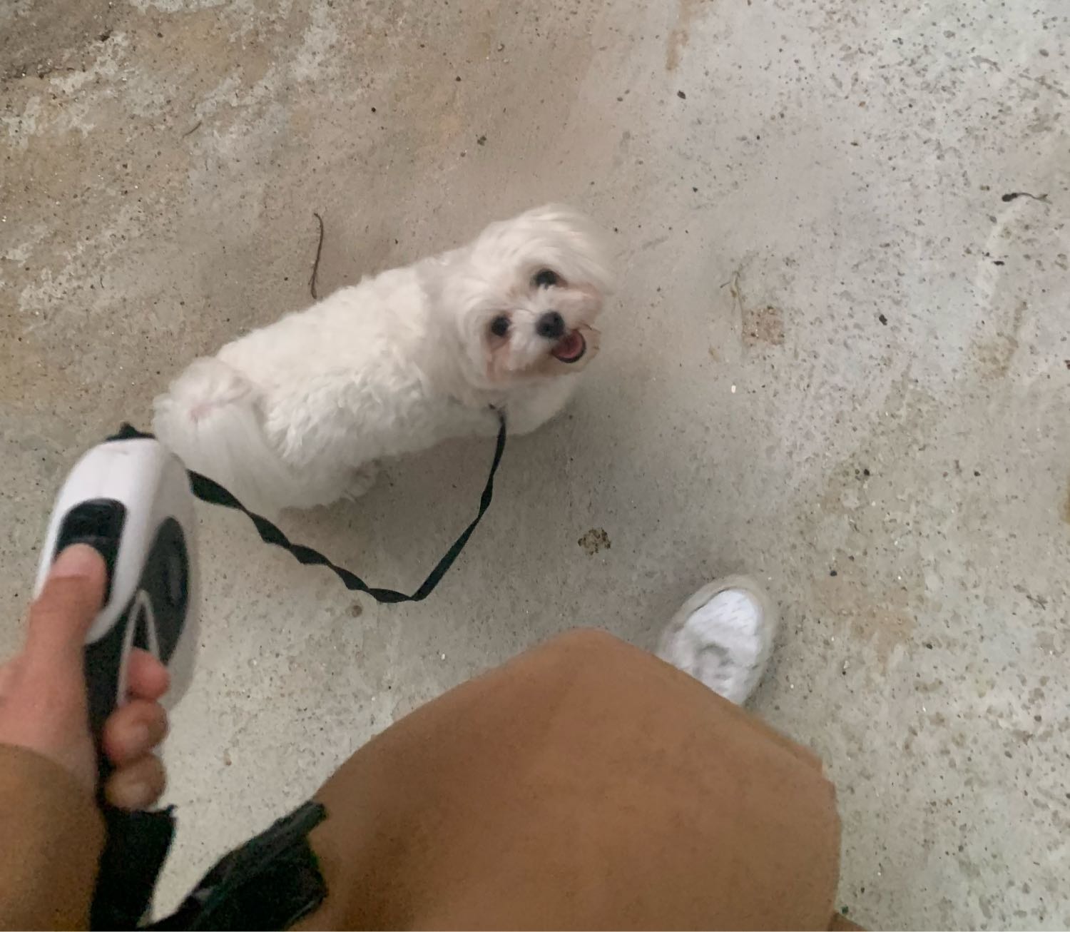 image-6