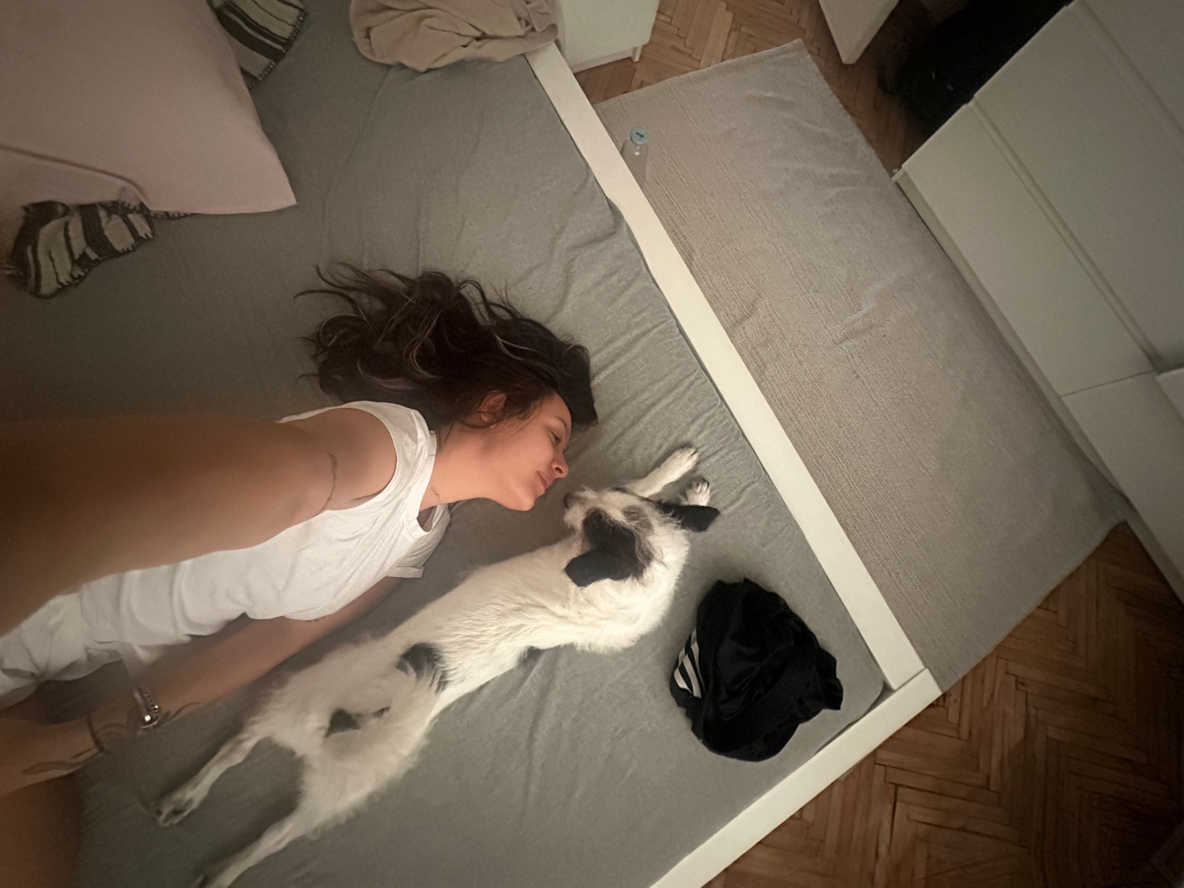 image-6