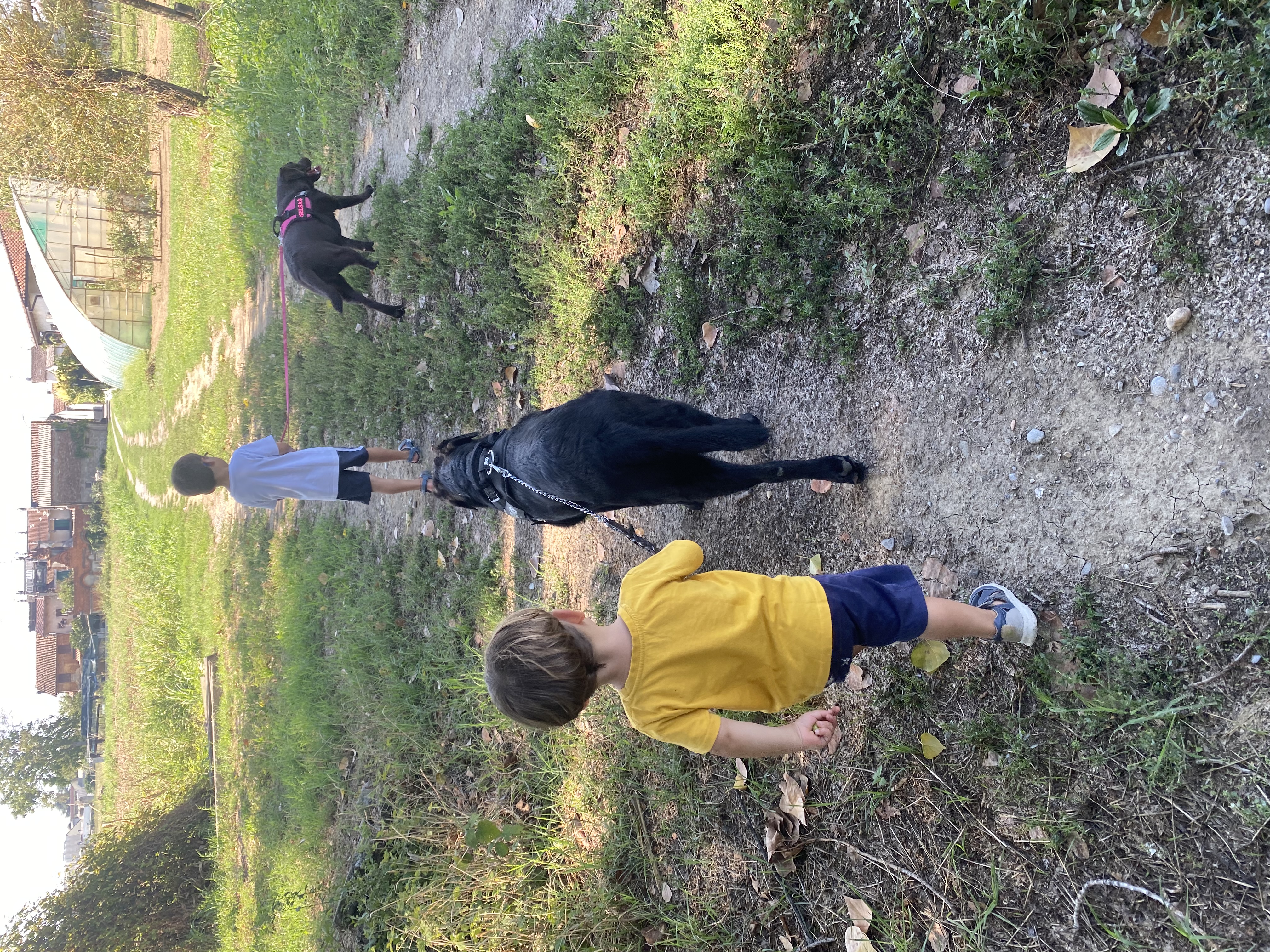 image-7