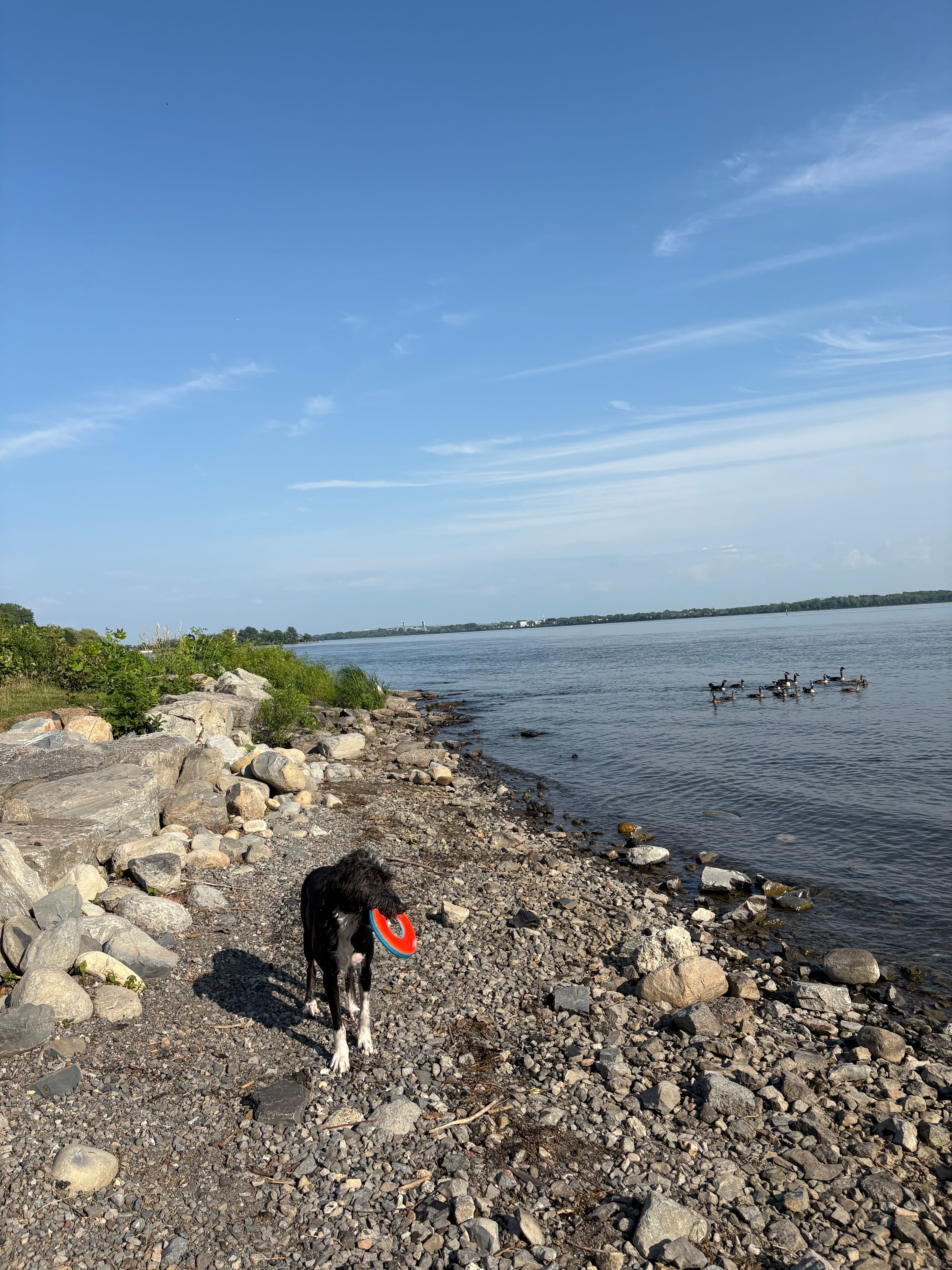 image-22