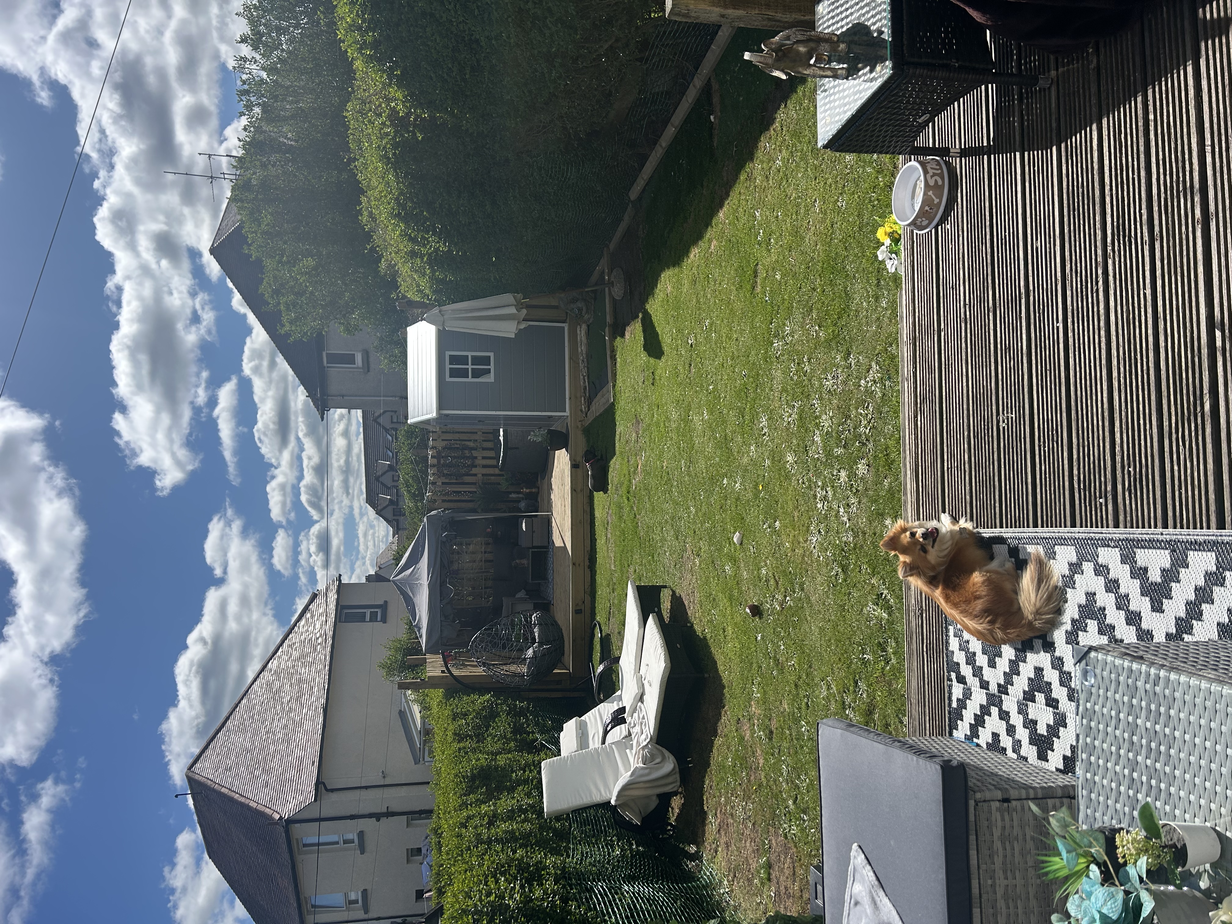 image-20