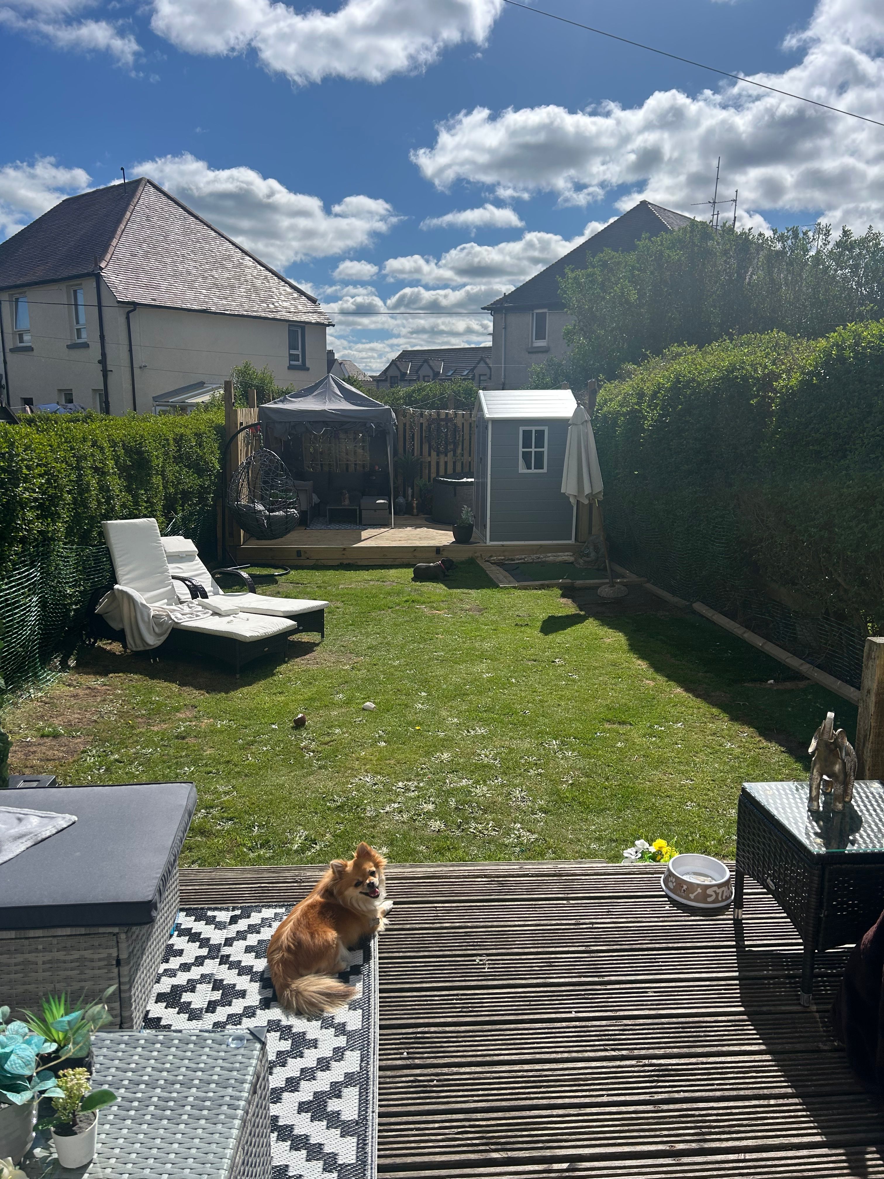 image-20