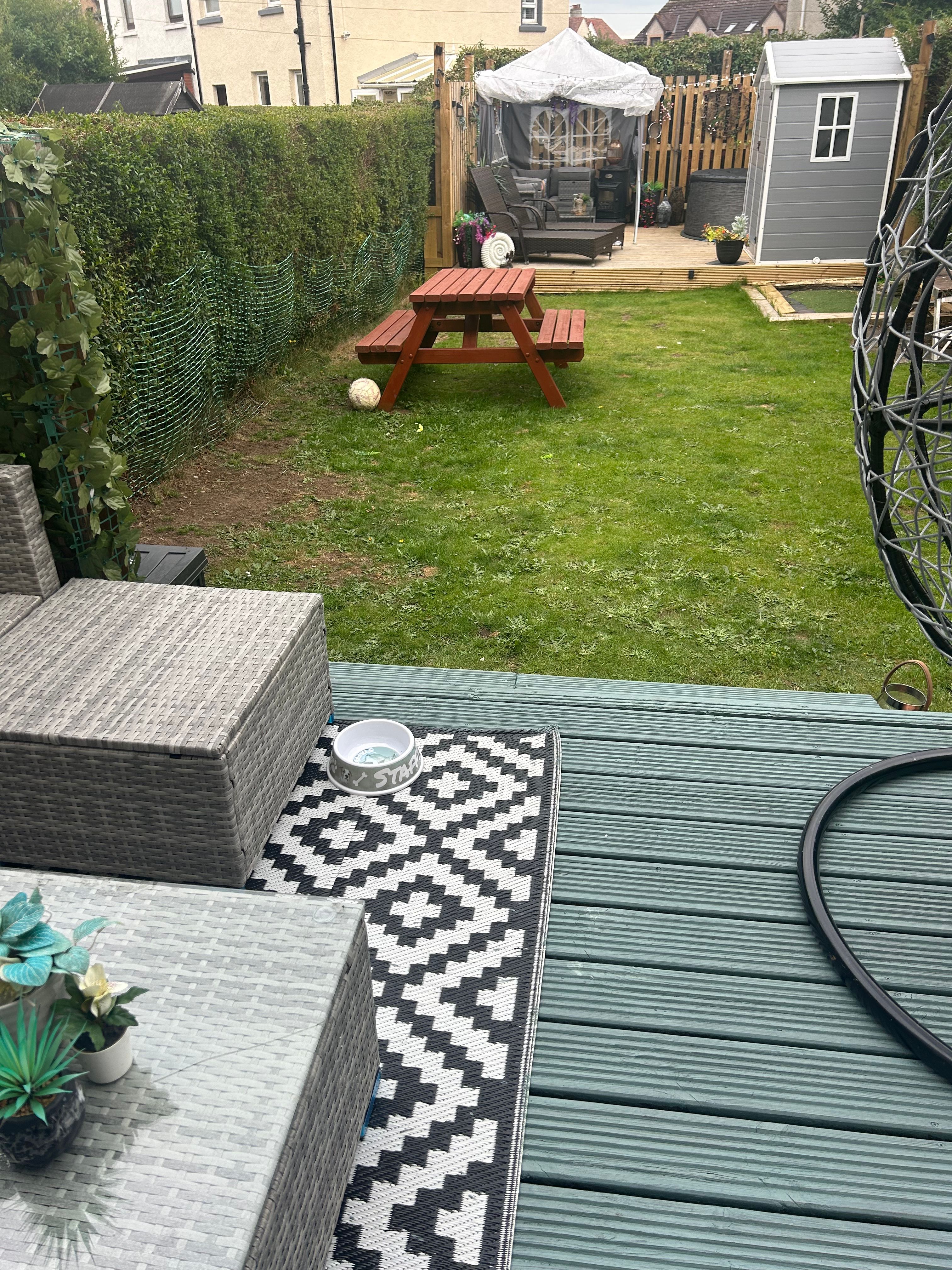 image-15