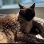 Jenna
