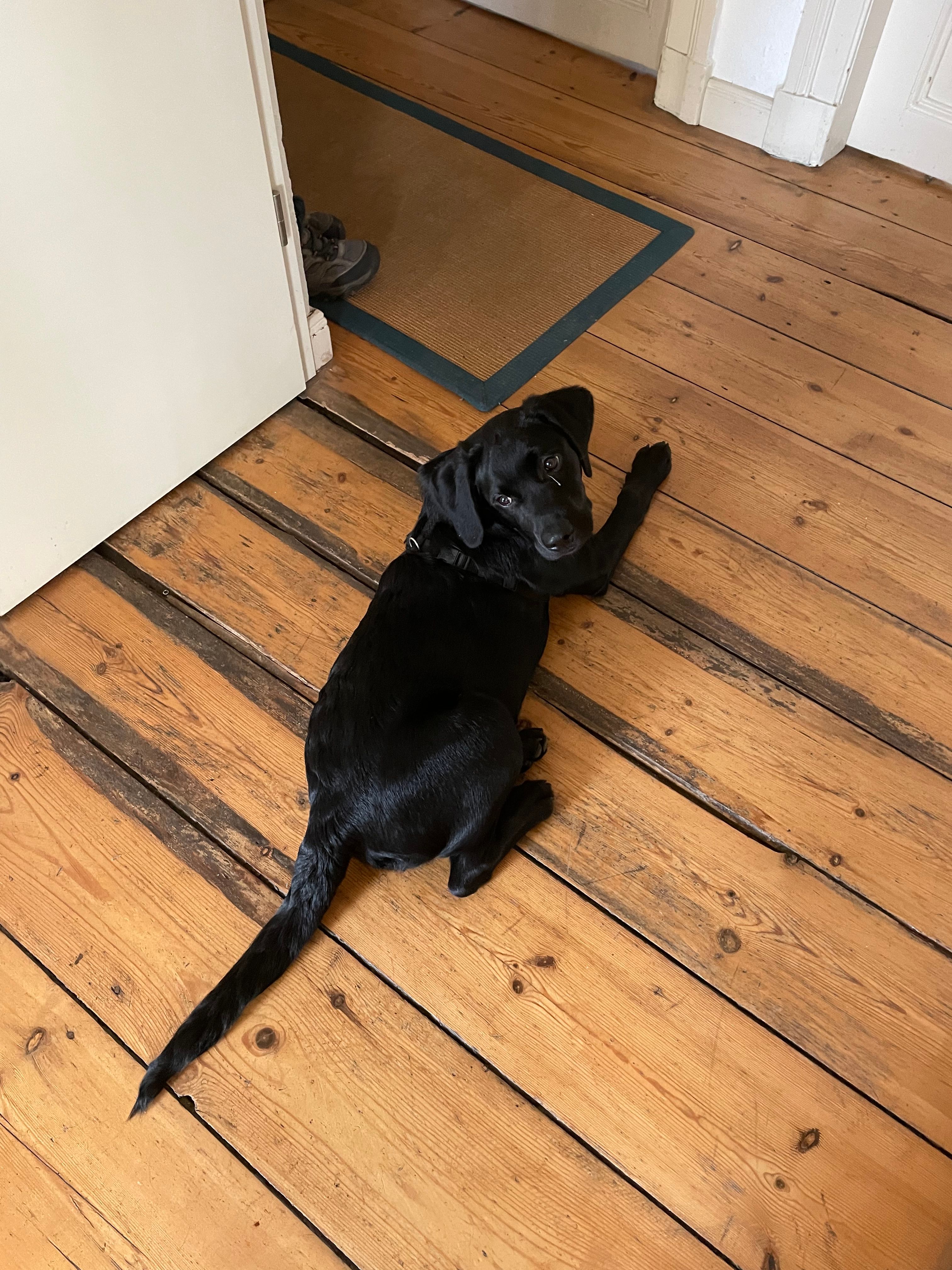 image-18