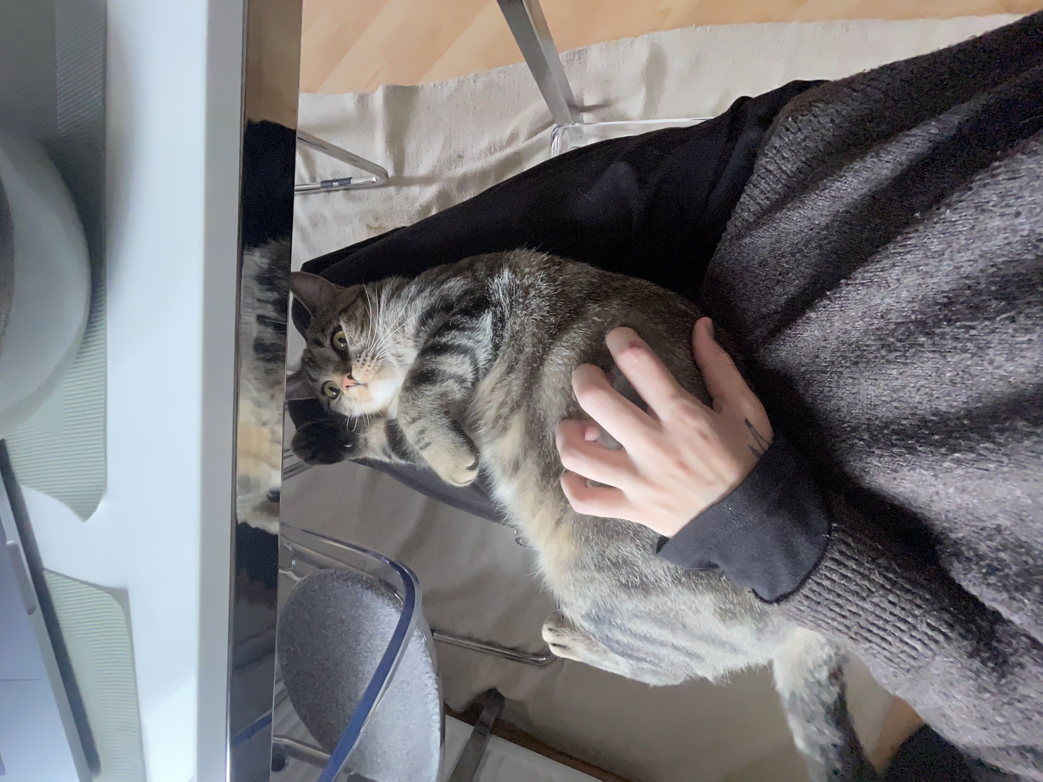 image-9
