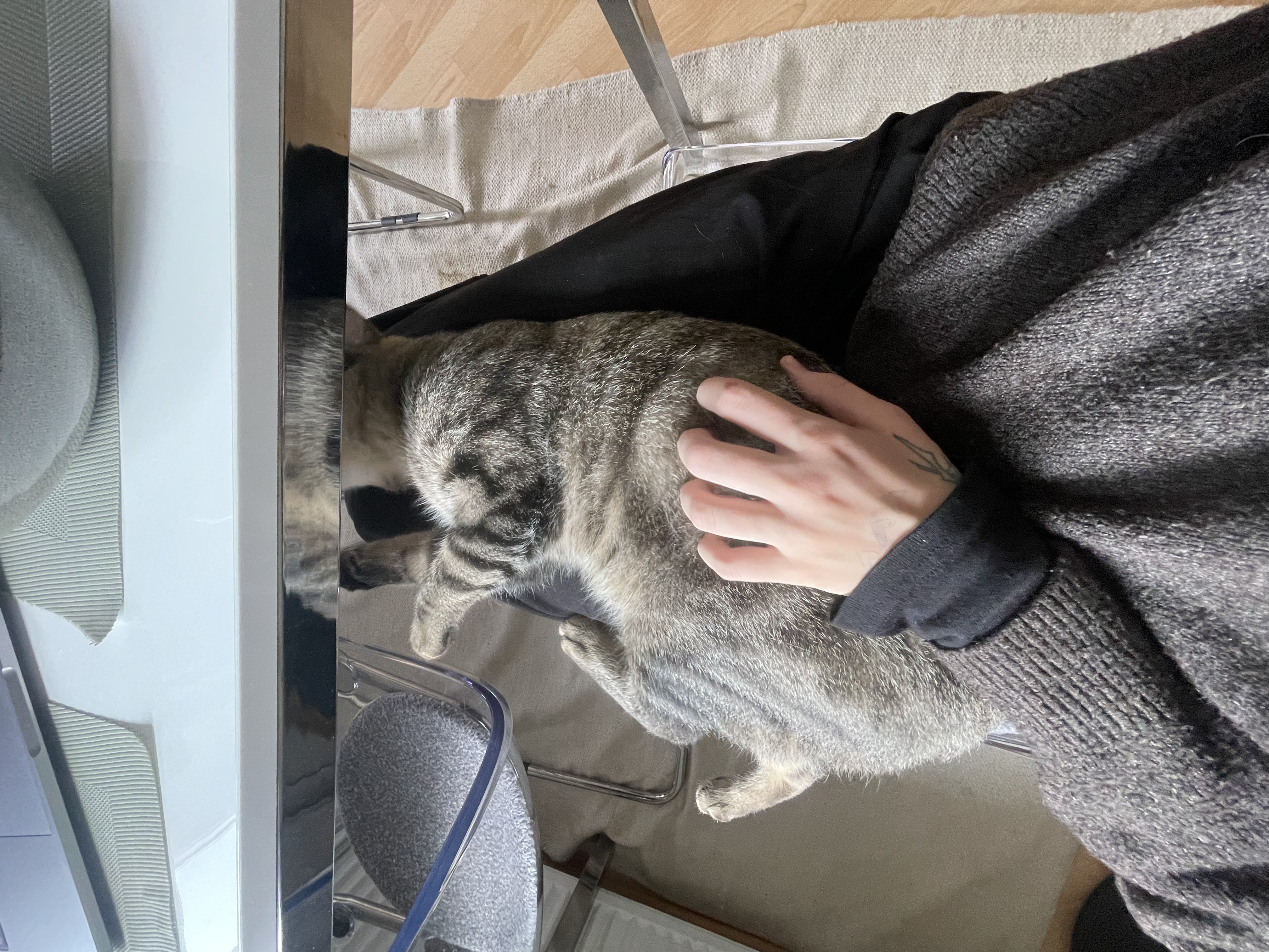 image-5