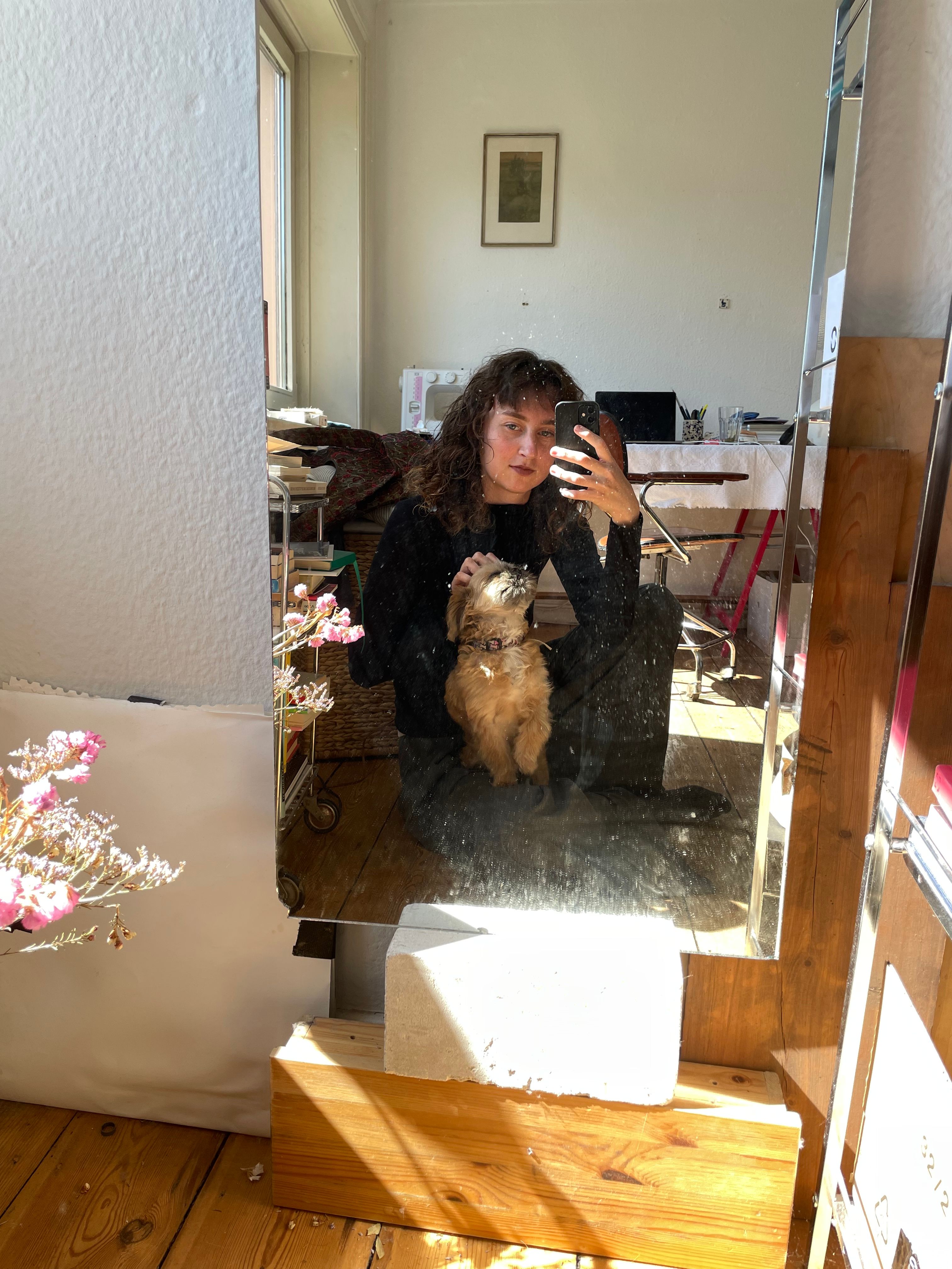 image-12